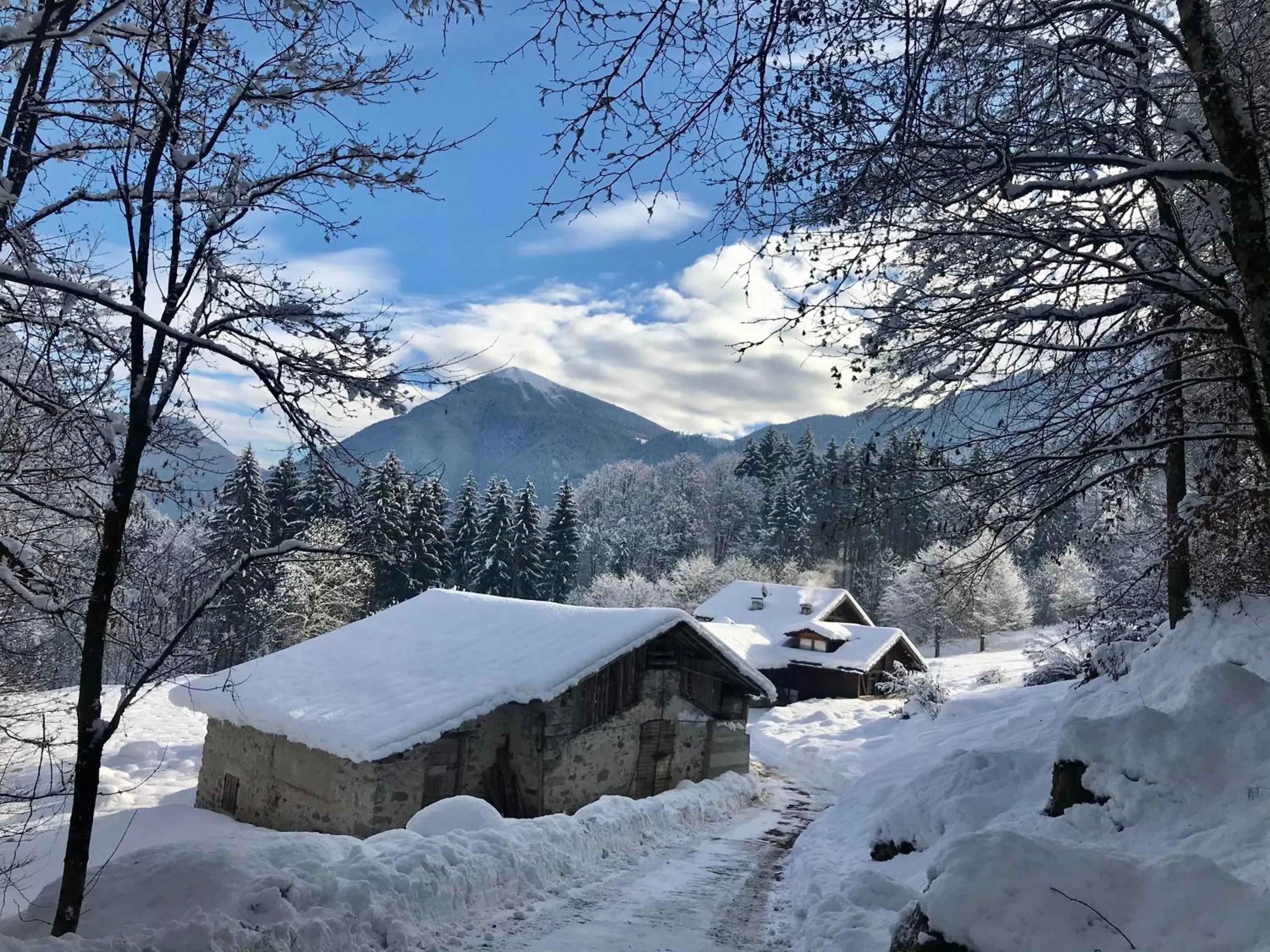 Day in Bed and Breakfast Cappeler