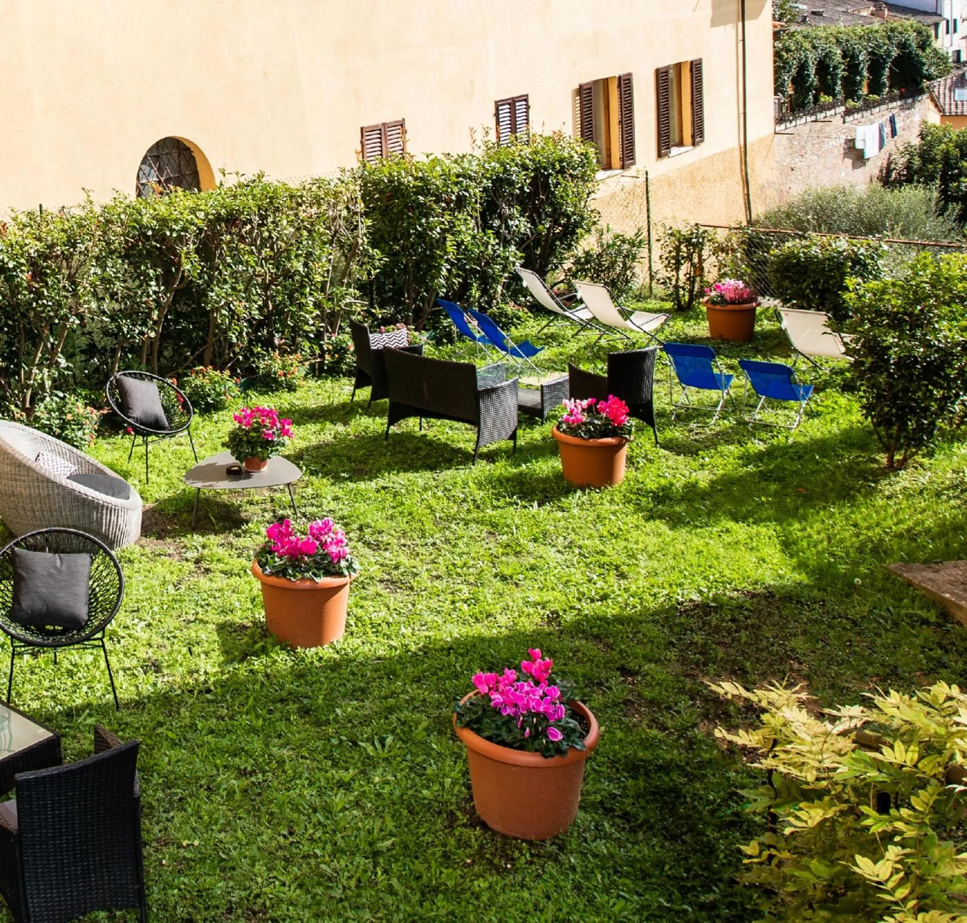 Garden in Hotel Minerva