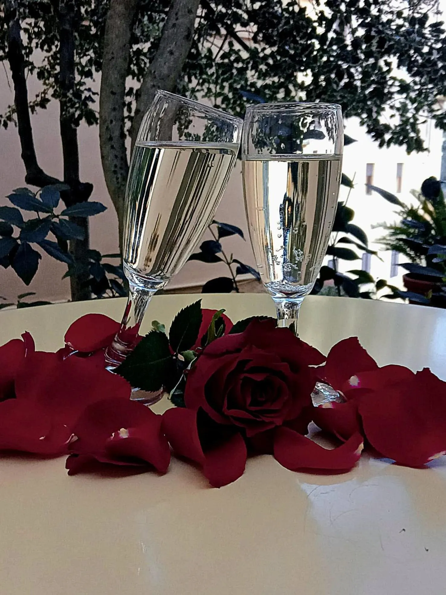 Garden in Hotel Minerva