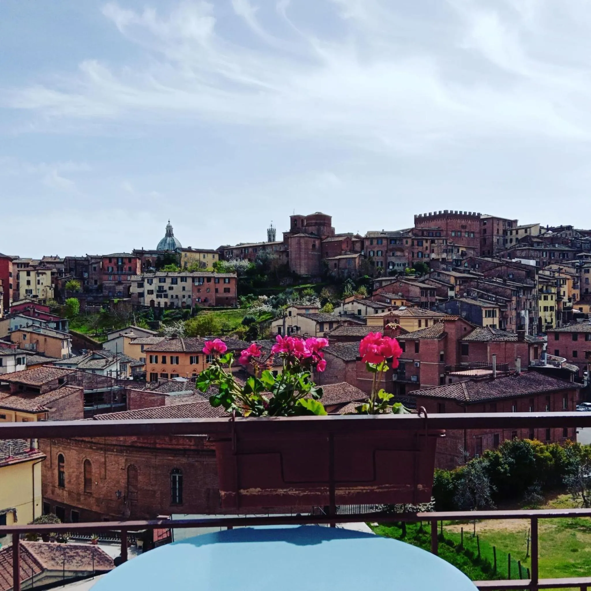 View (from property/room) in Hotel Minerva