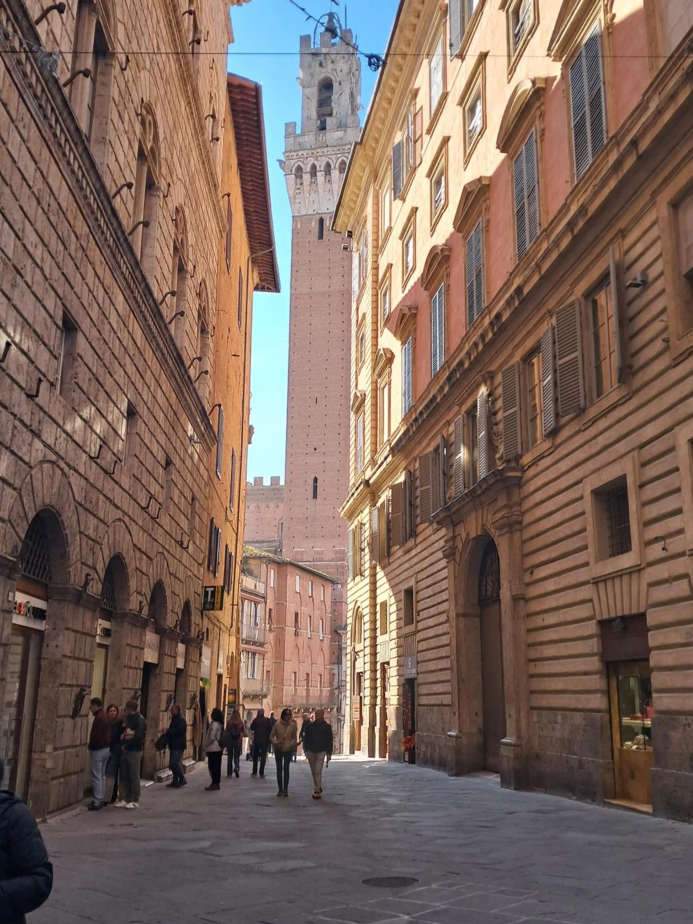 Nearby landmark in Hotel Minerva