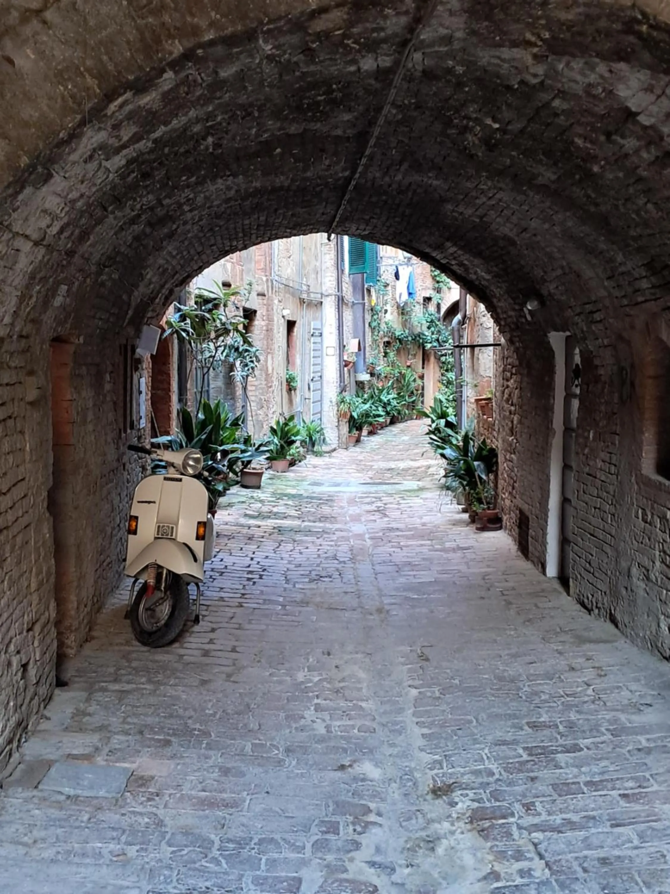 Nearby landmark in Hotel Minerva