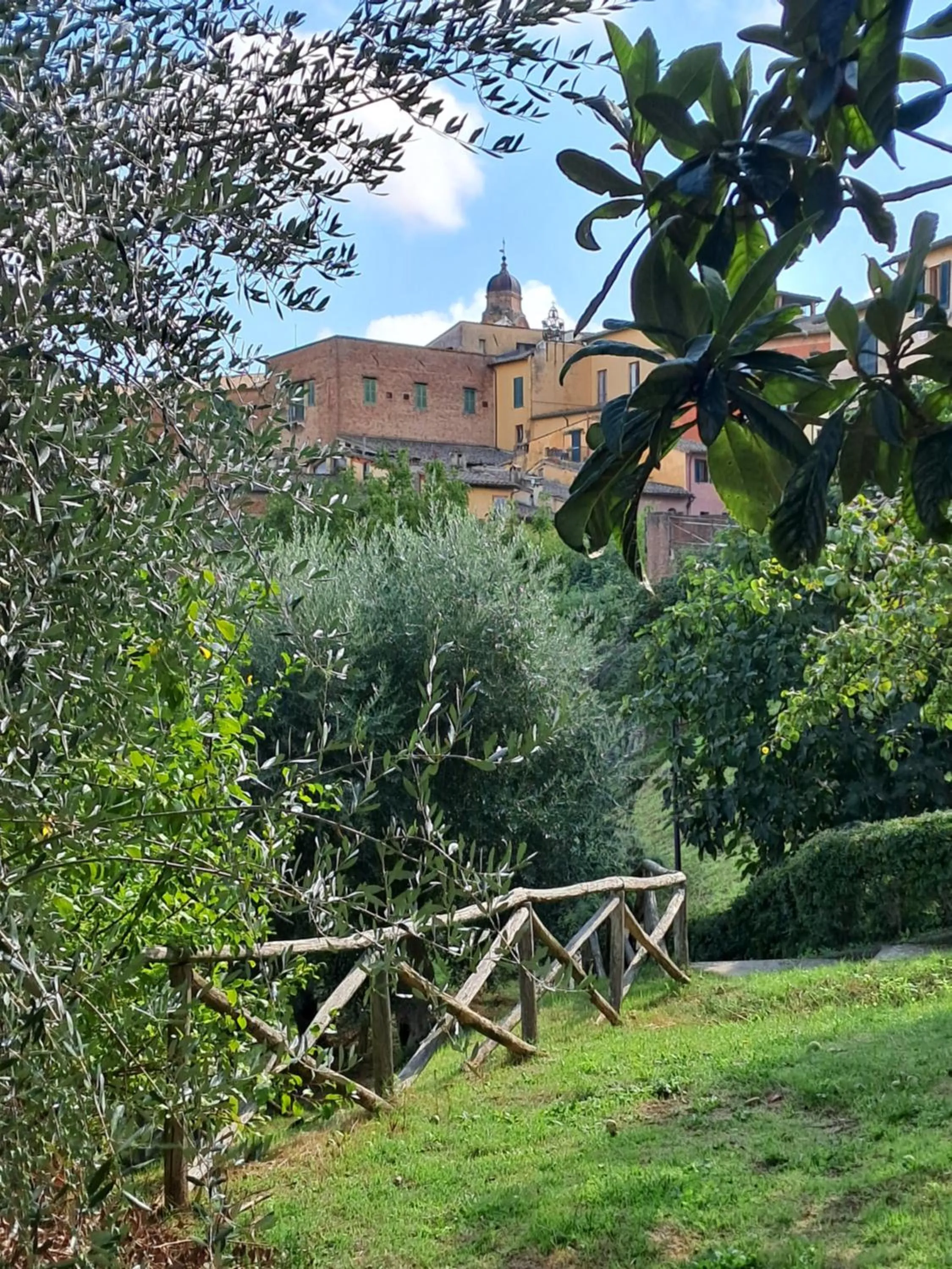 Nearby landmark in Hotel Minerva