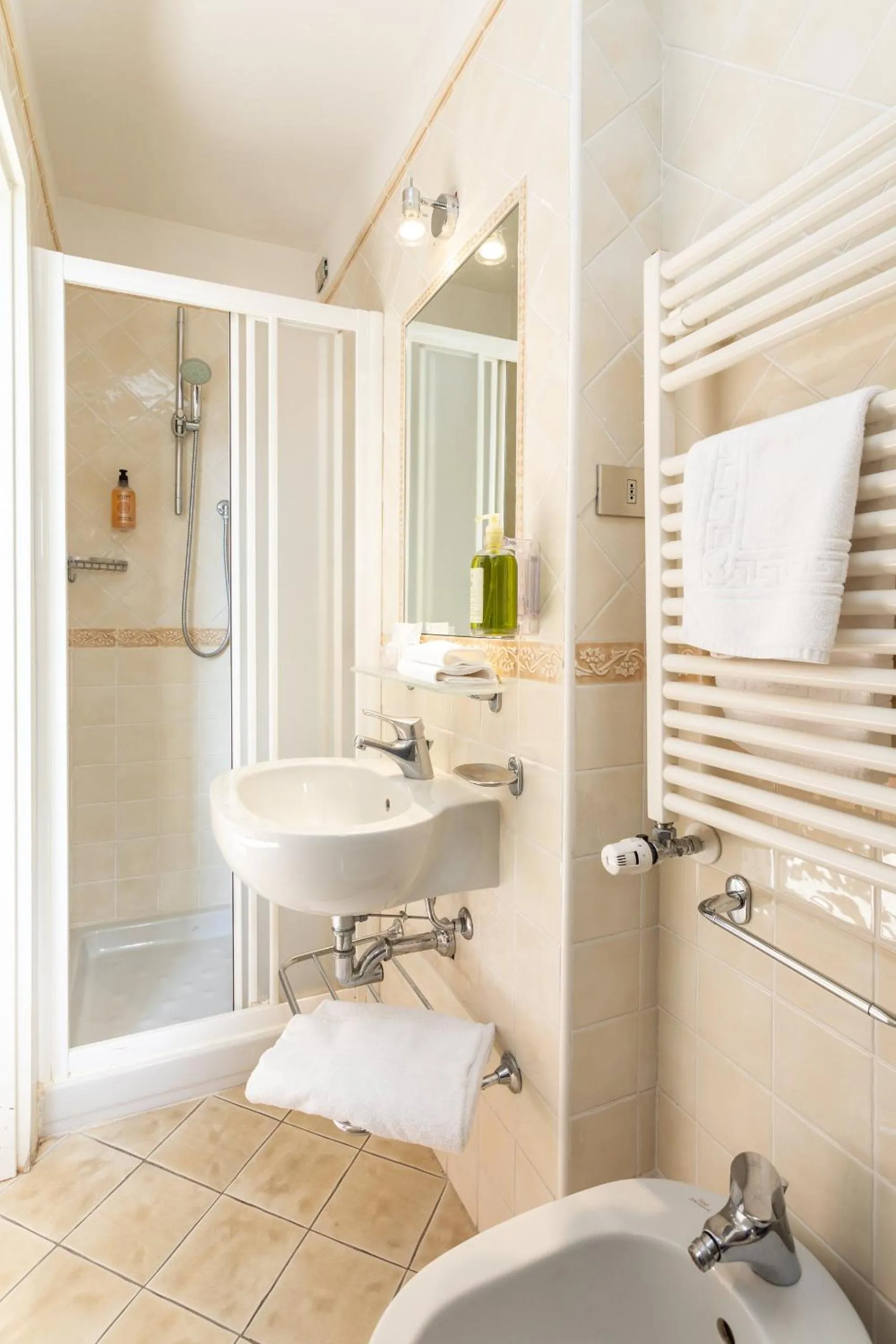 Shower in Hotel Minerva