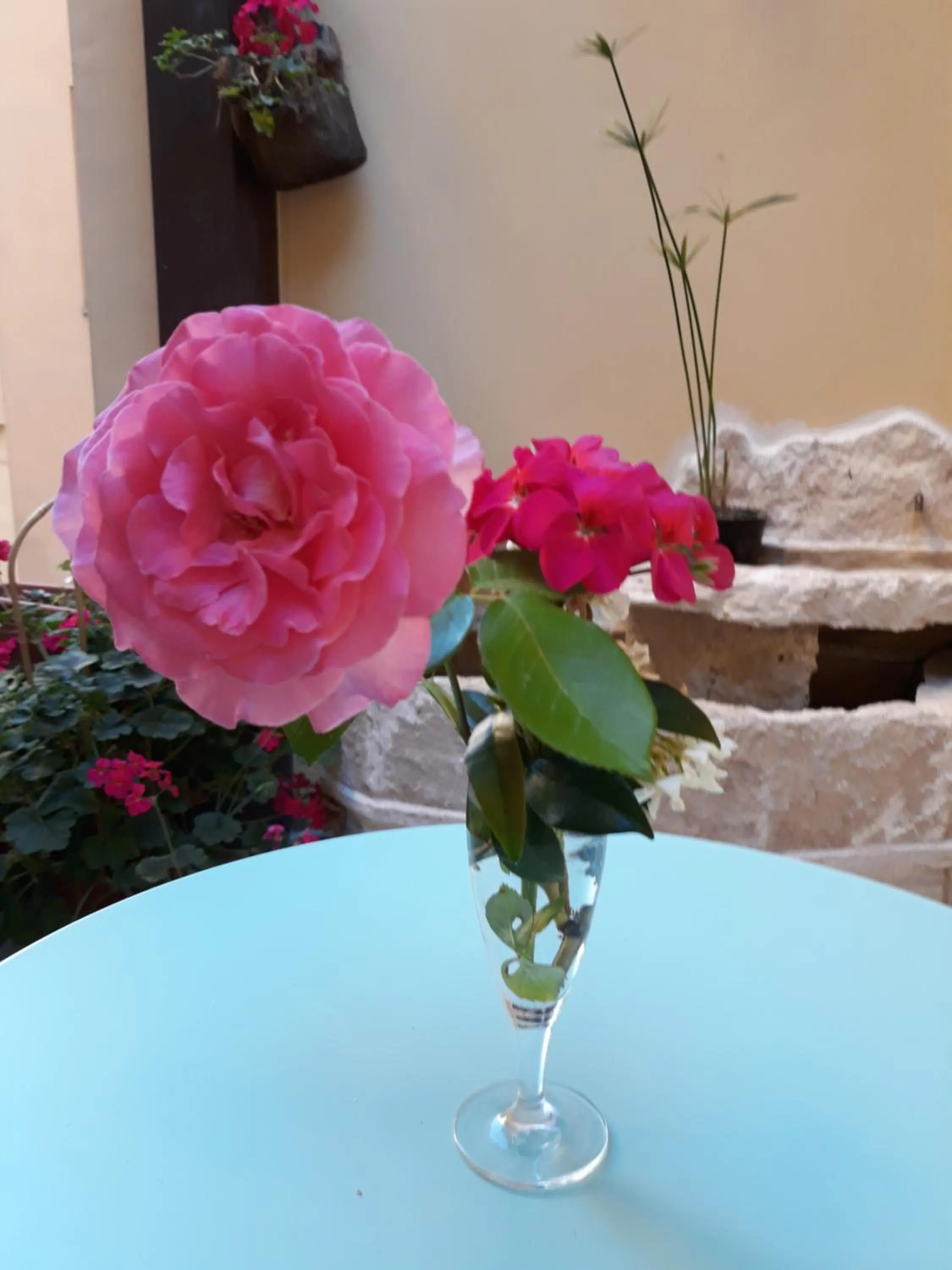 Garden in Hotel Minerva