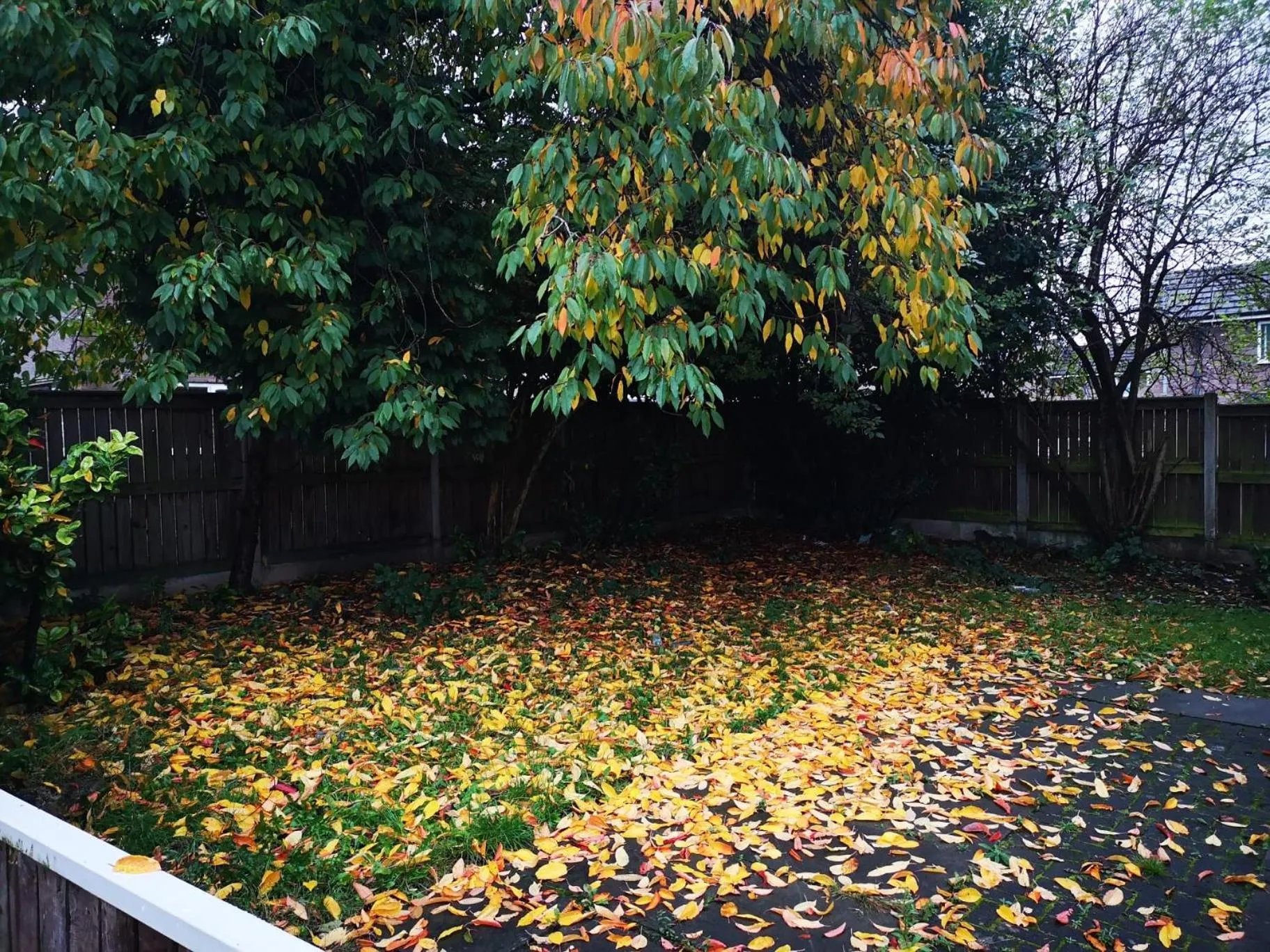 Garden view in Nice Residential Within Easy Reach Of Town