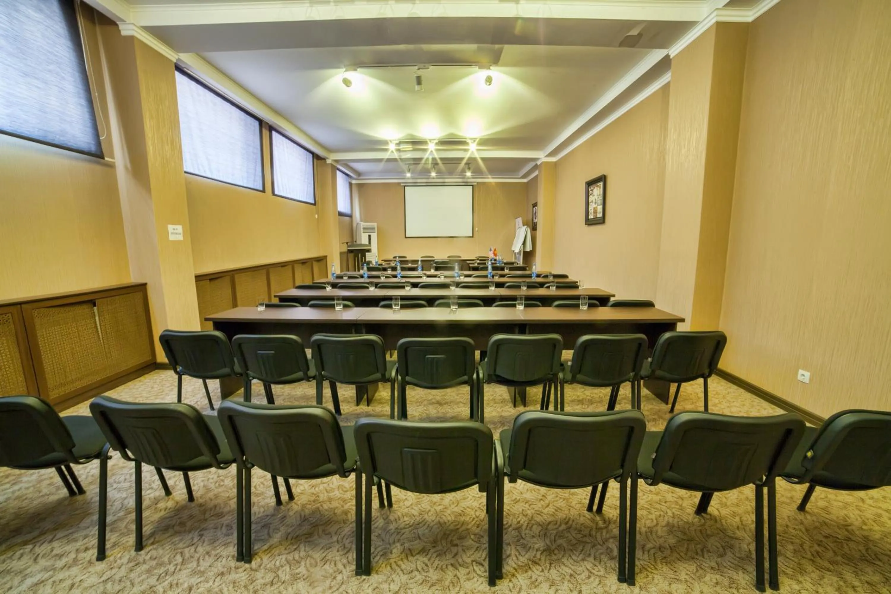 Business facilities in Hotel Orto Asia