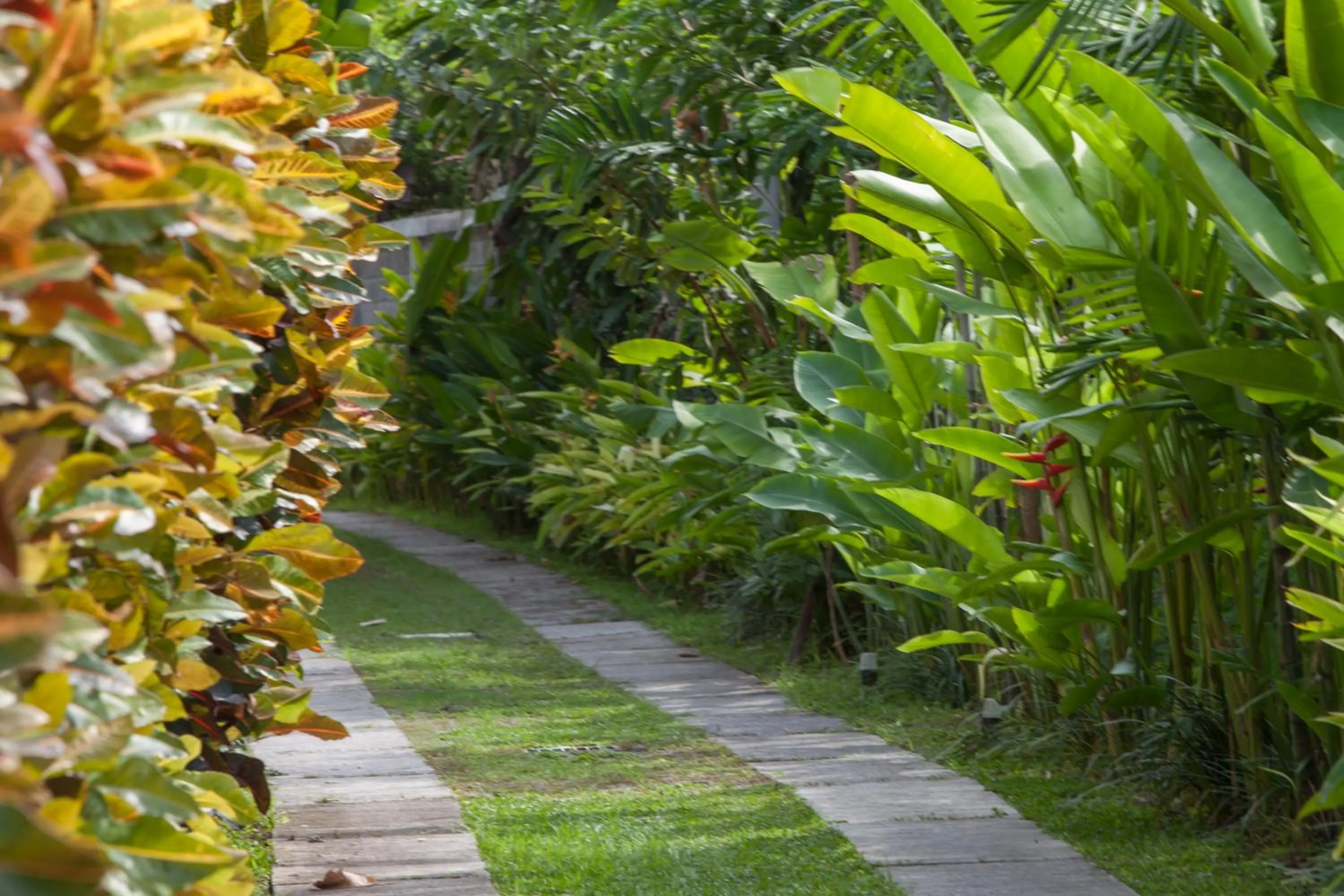 Balcony/Terrace in Villa Liang by Nagisa Bali