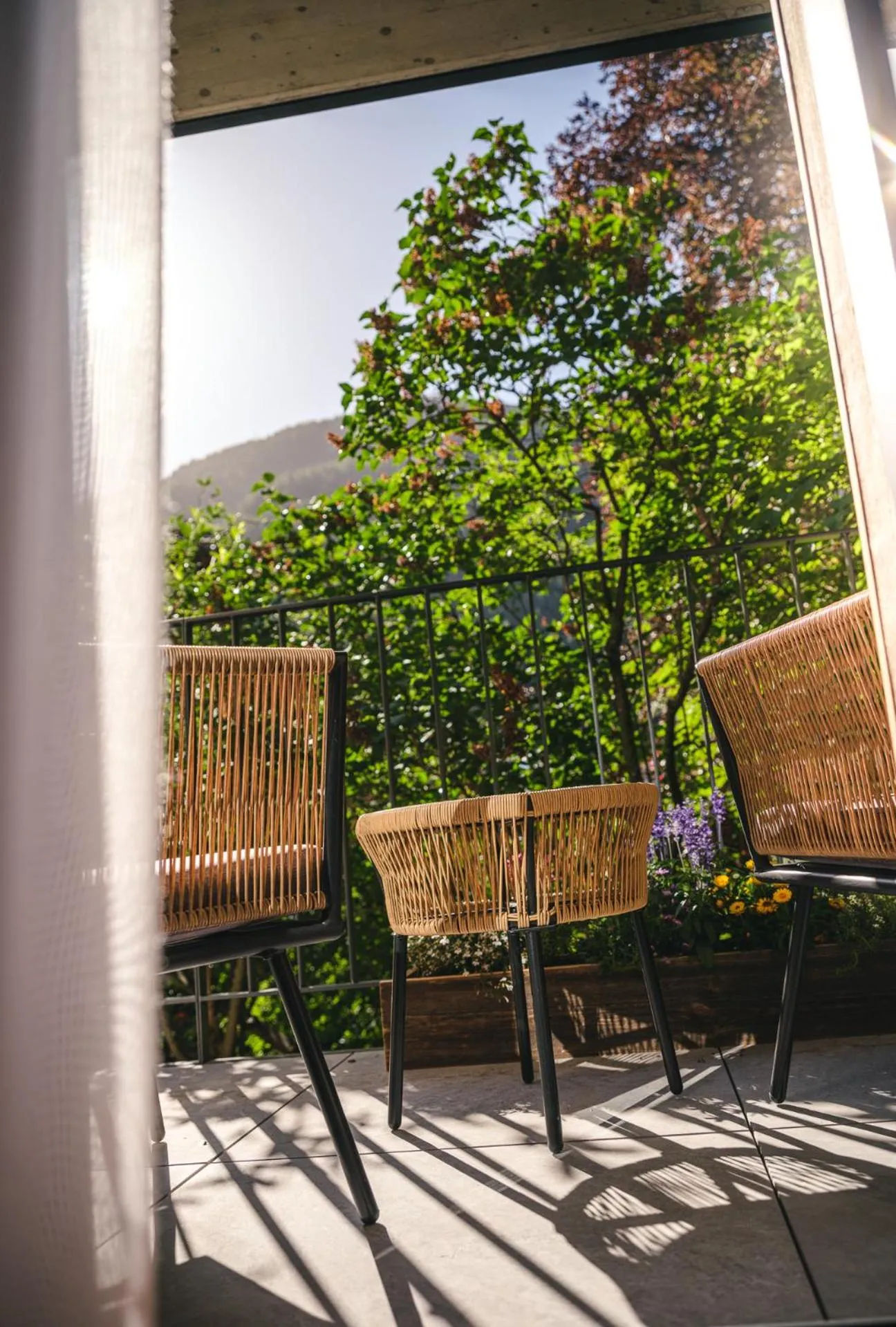 View (from property/room) in Hotel Tannenhof