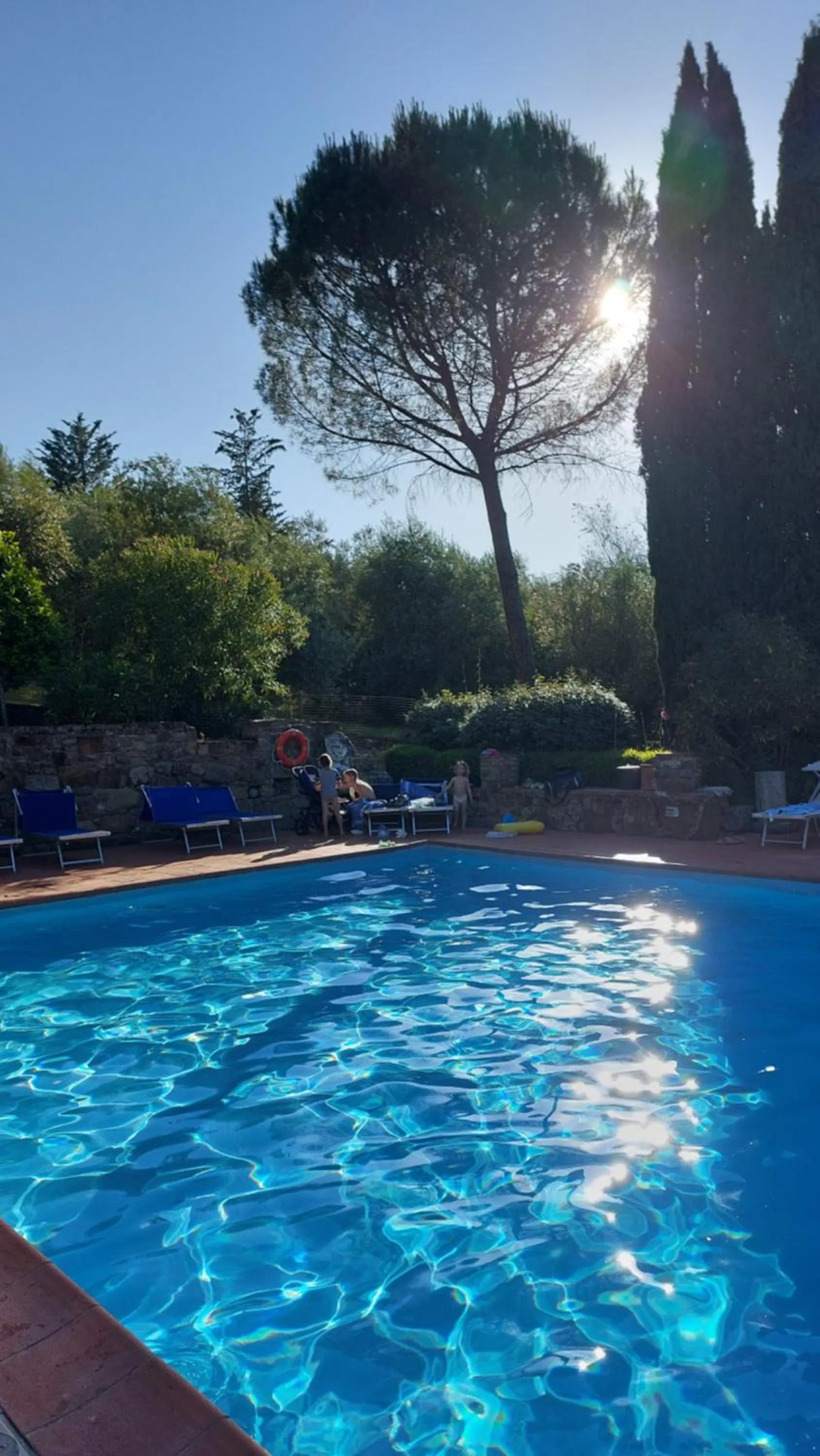 Pool view in Fattoria Il Milione Agriturismo