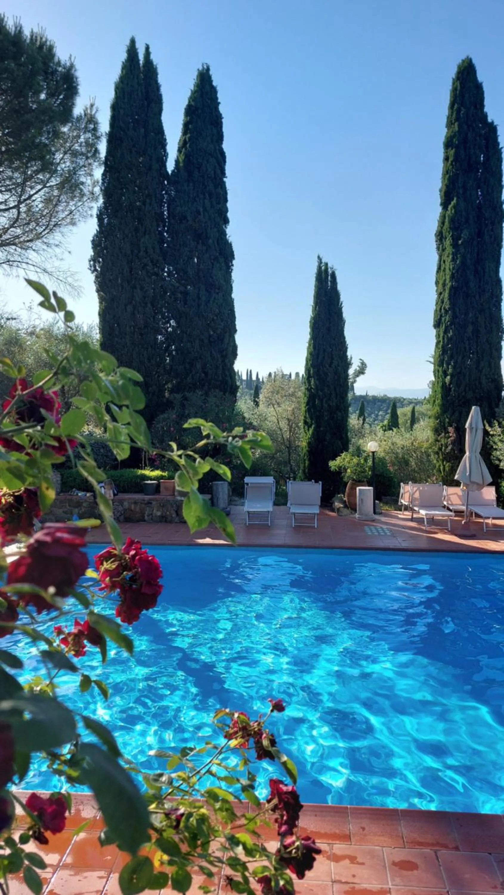Pool view in Fattoria Il Milione Agriturismo