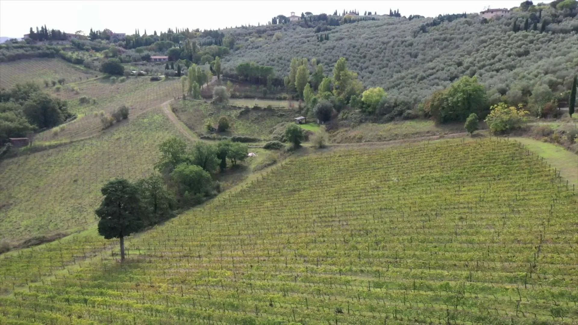 Day in Fattoria Il Milione Agriturismo