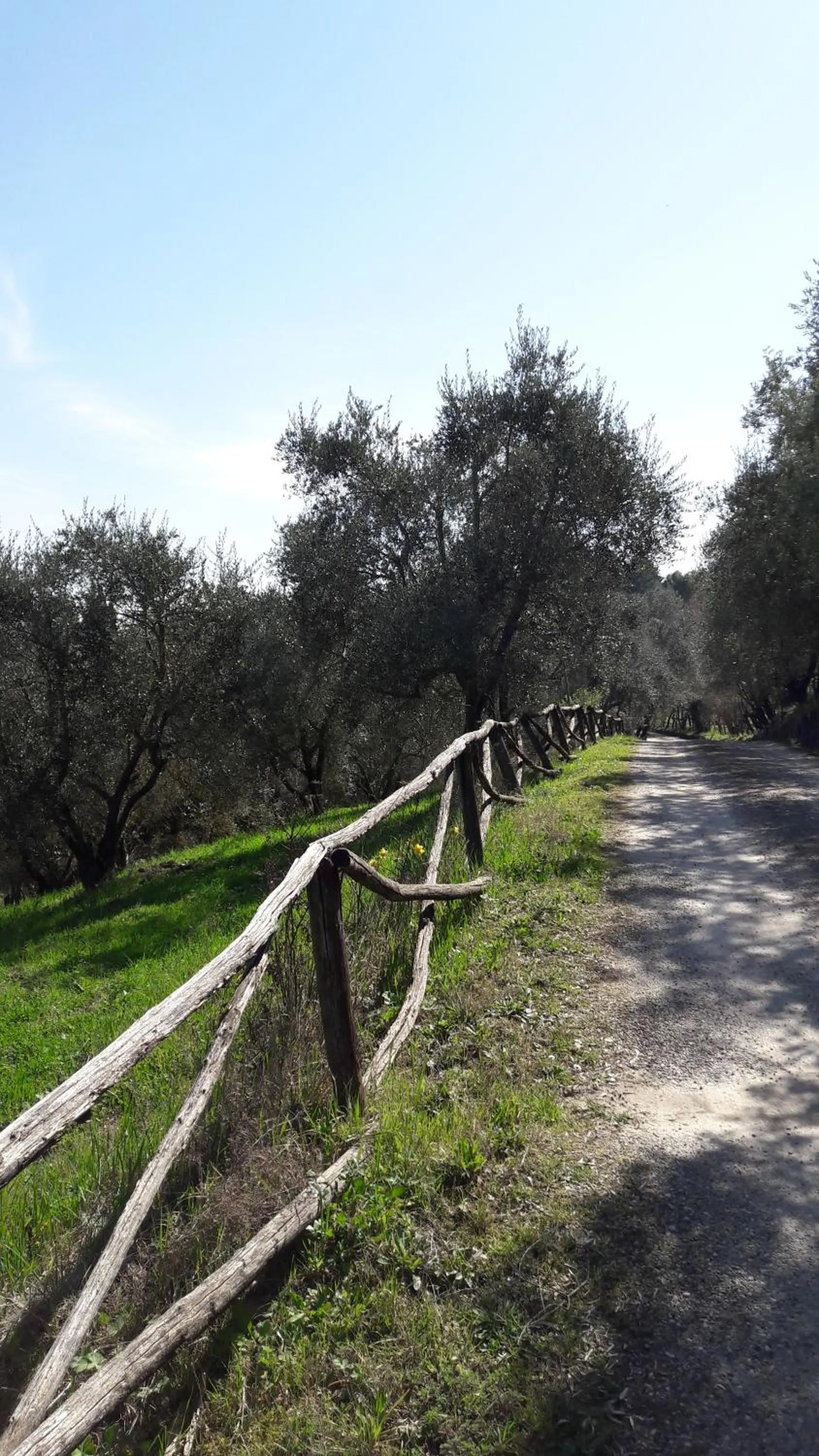 Garden view in Fattoria Il Milione Agriturismo