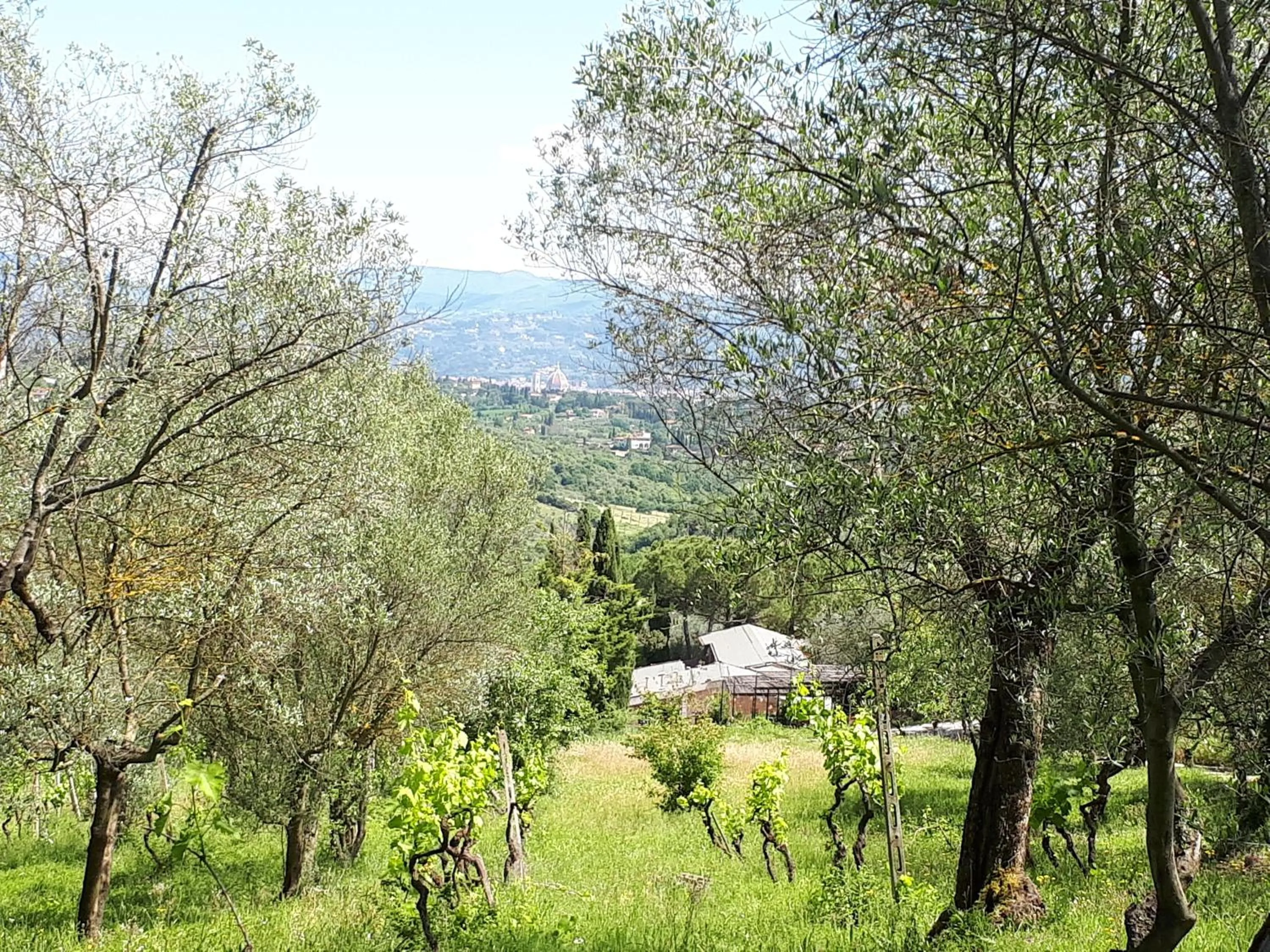 Garden in Fattoria Il Milione Agriturismo