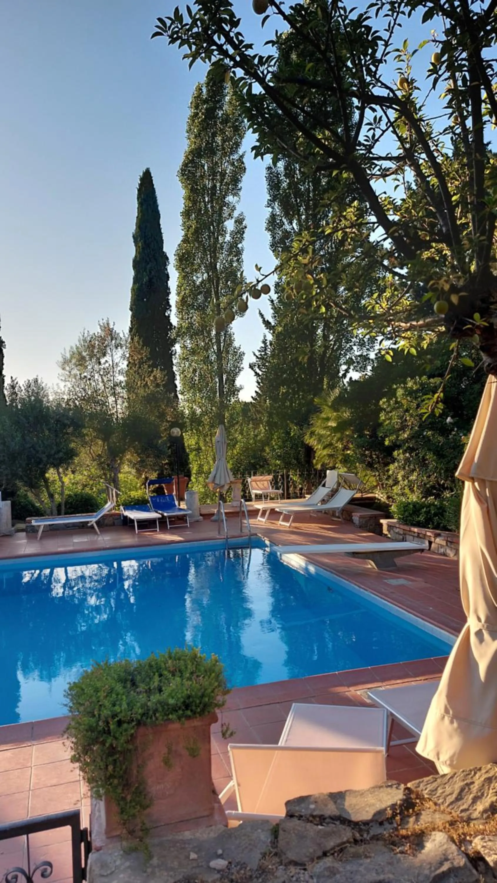 Pool view in Fattoria Il Milione Agriturismo