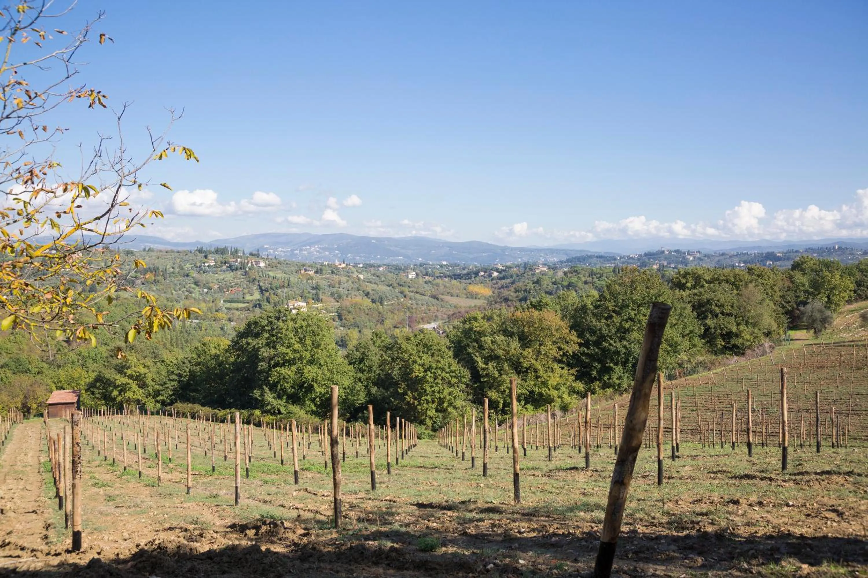 Garden in Fattoria Il Milione Agriturismo