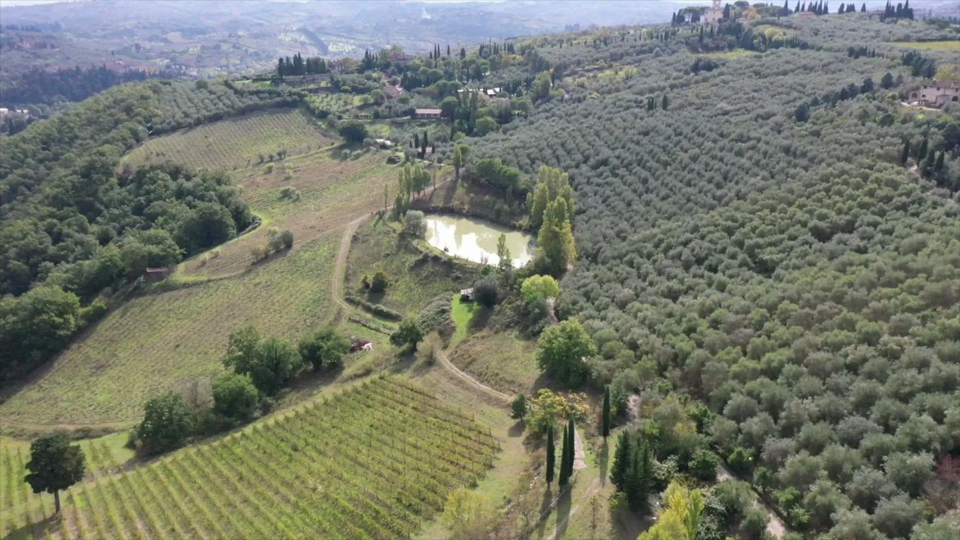 Day in Fattoria Il Milione Agriturismo