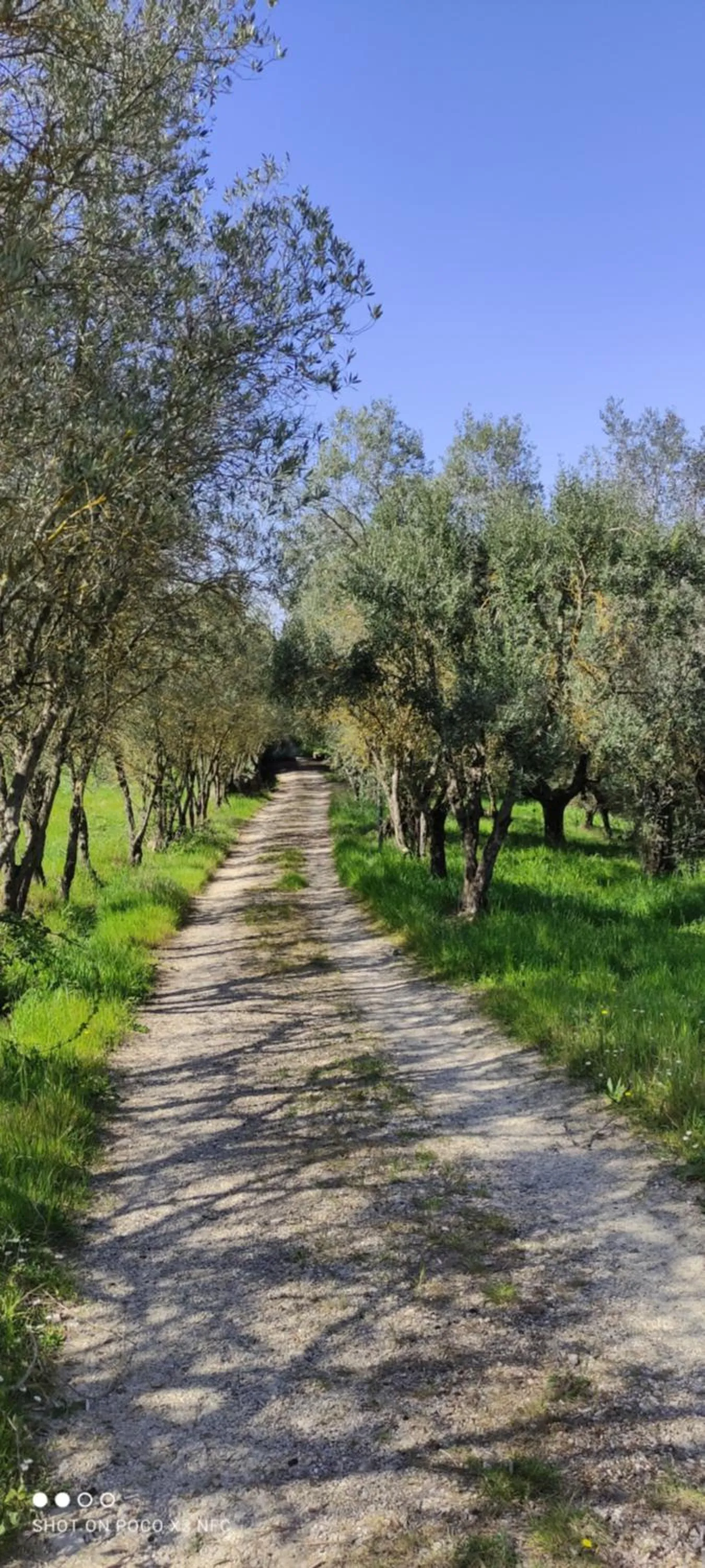 Garden in Fattoria Il Milione Agriturismo