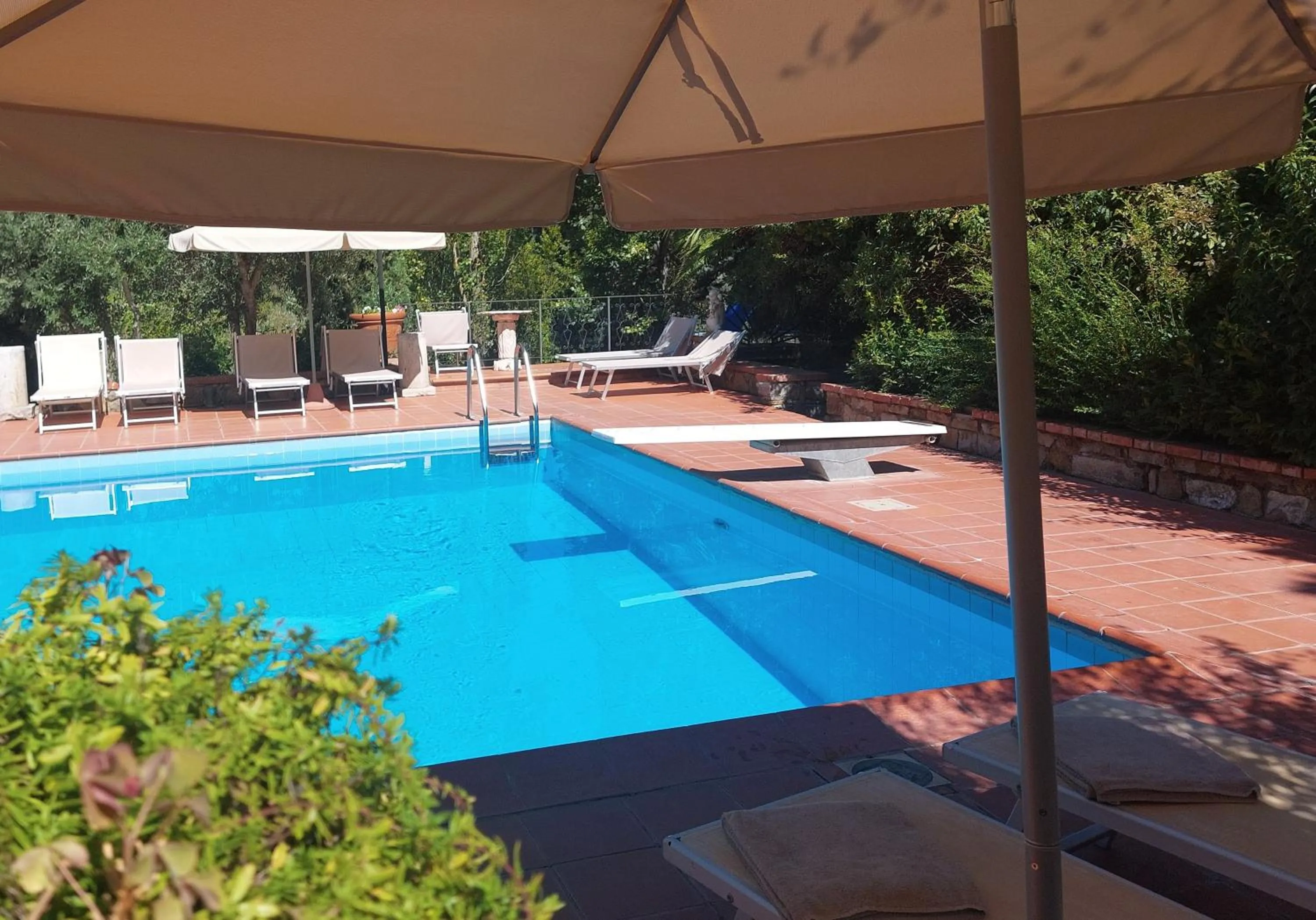 Swimming pool in Fattoria Il Milione Agriturismo