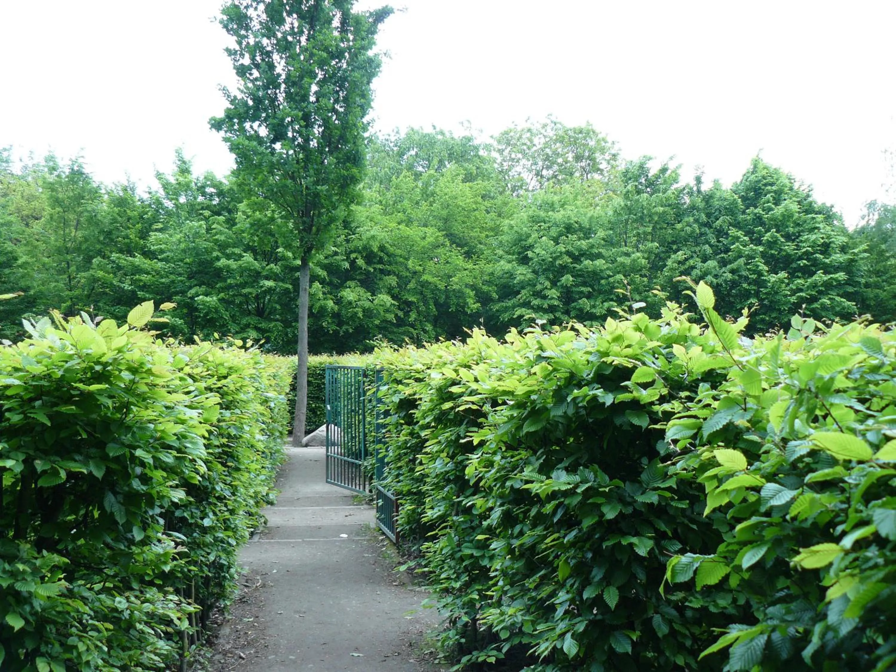 Garden in HOTEL I RESTAURACJA BROCHÓW