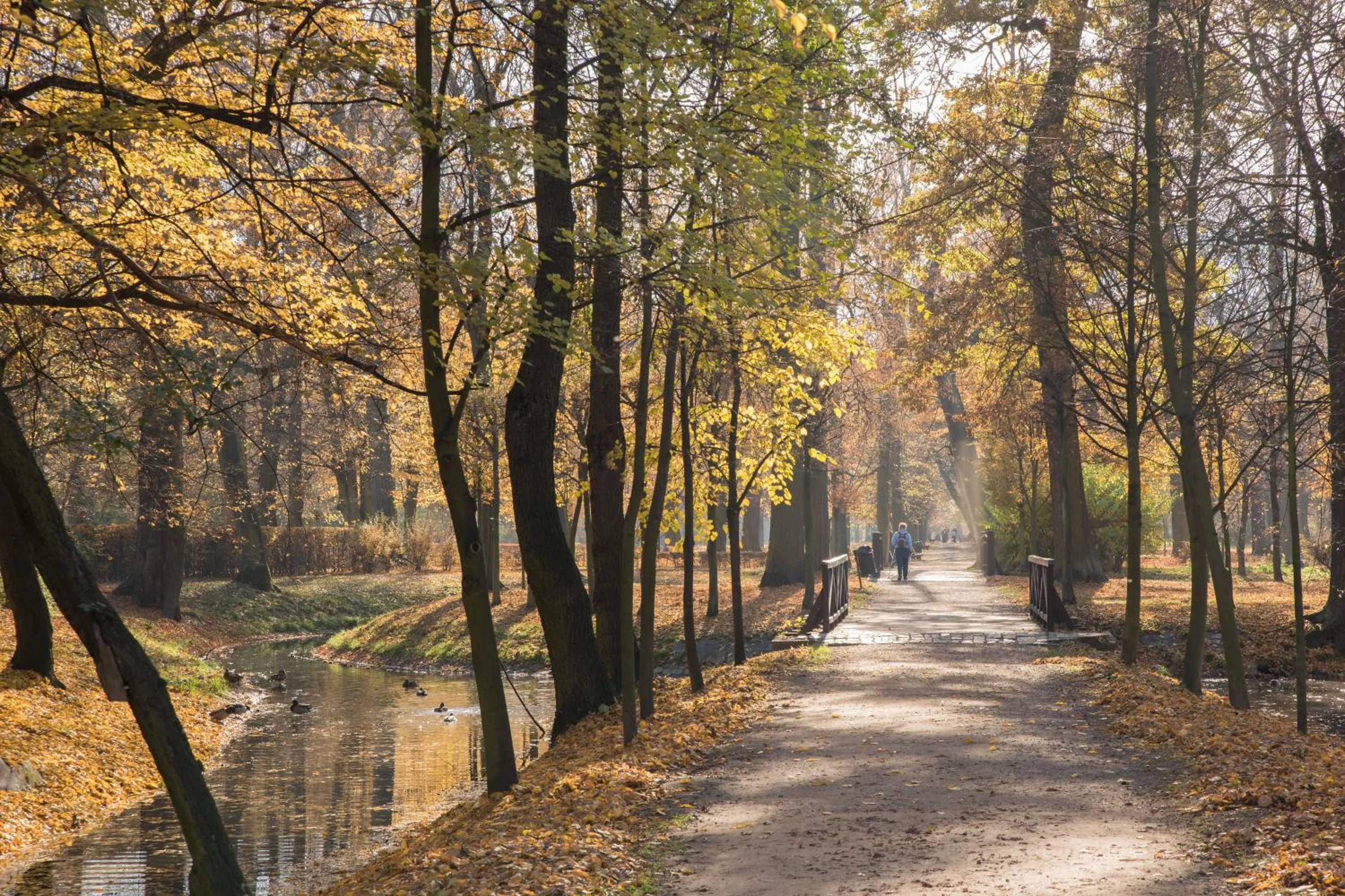 View (from property/room) in HOTEL I RESTAURACJA BROCHÓW
