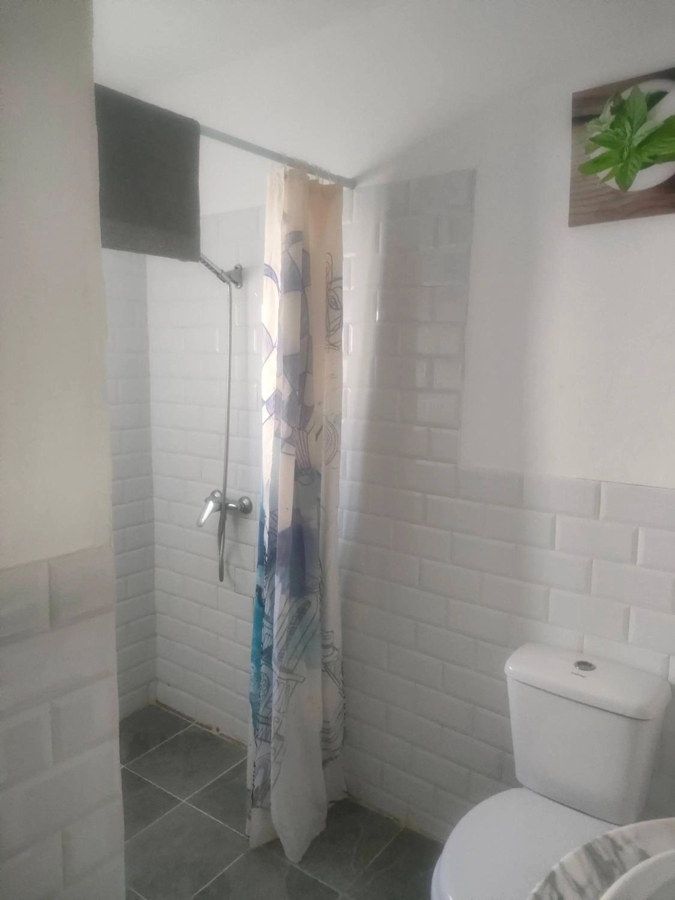 Alba 2 apartamento y Alba 3 habitación con baño