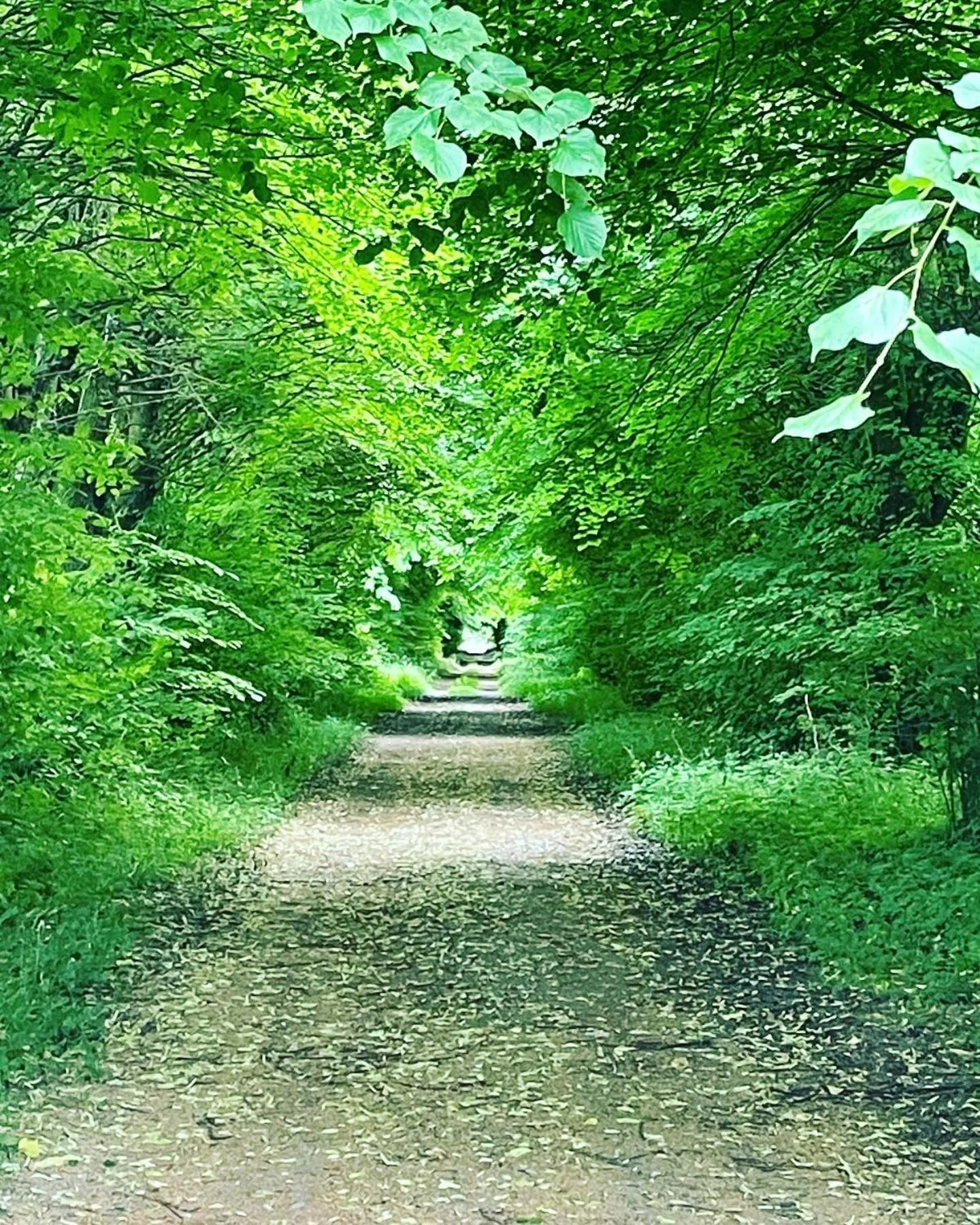 Skorstensfejerens Bed & Breakfast