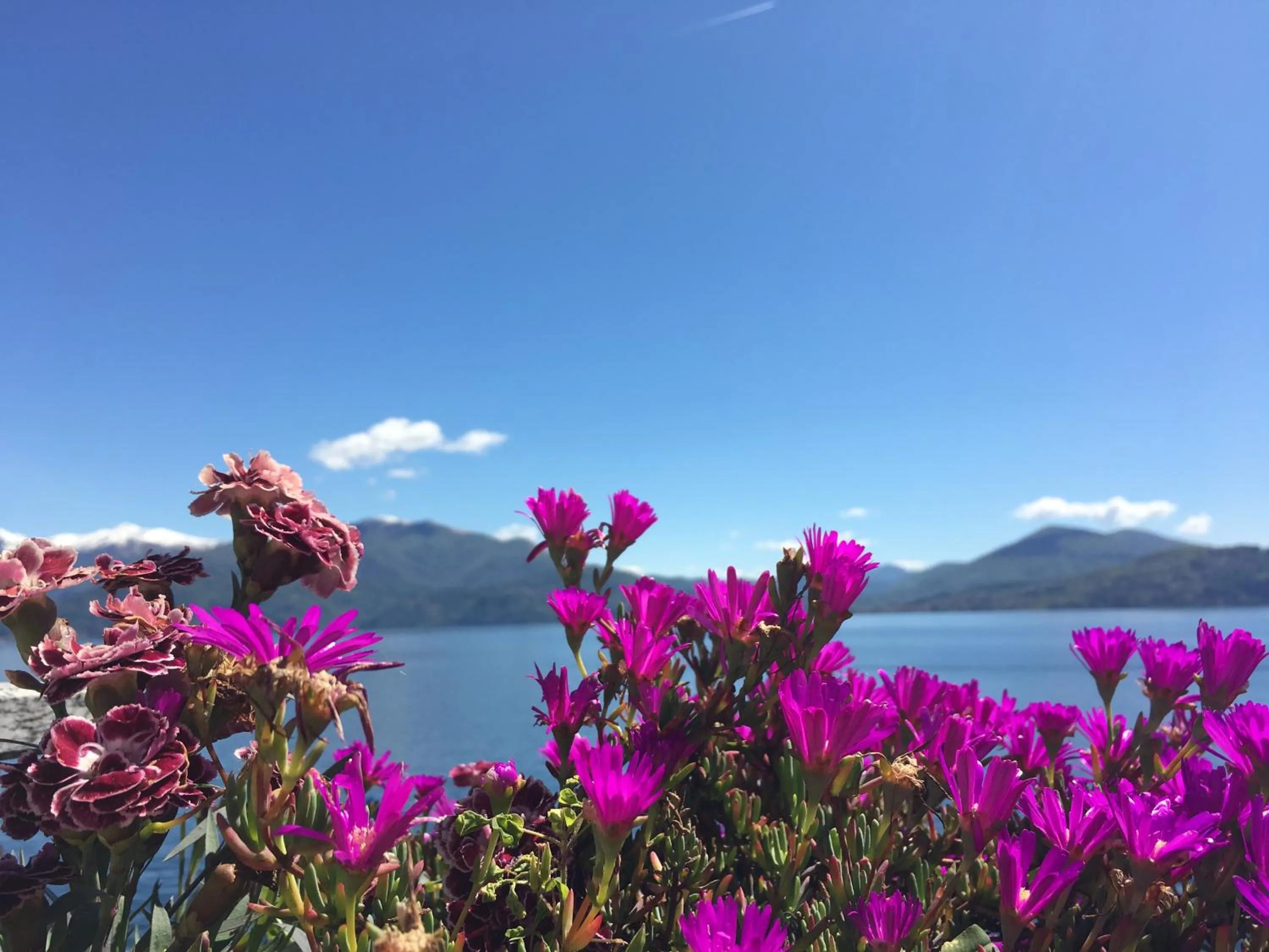 Spring in Residence Casa e Vela