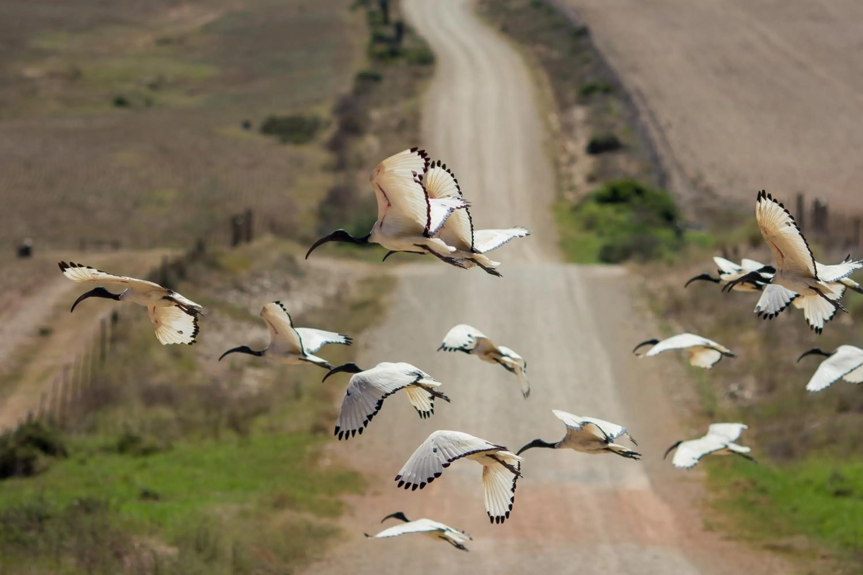 Natural landscape in Malagas Hotel