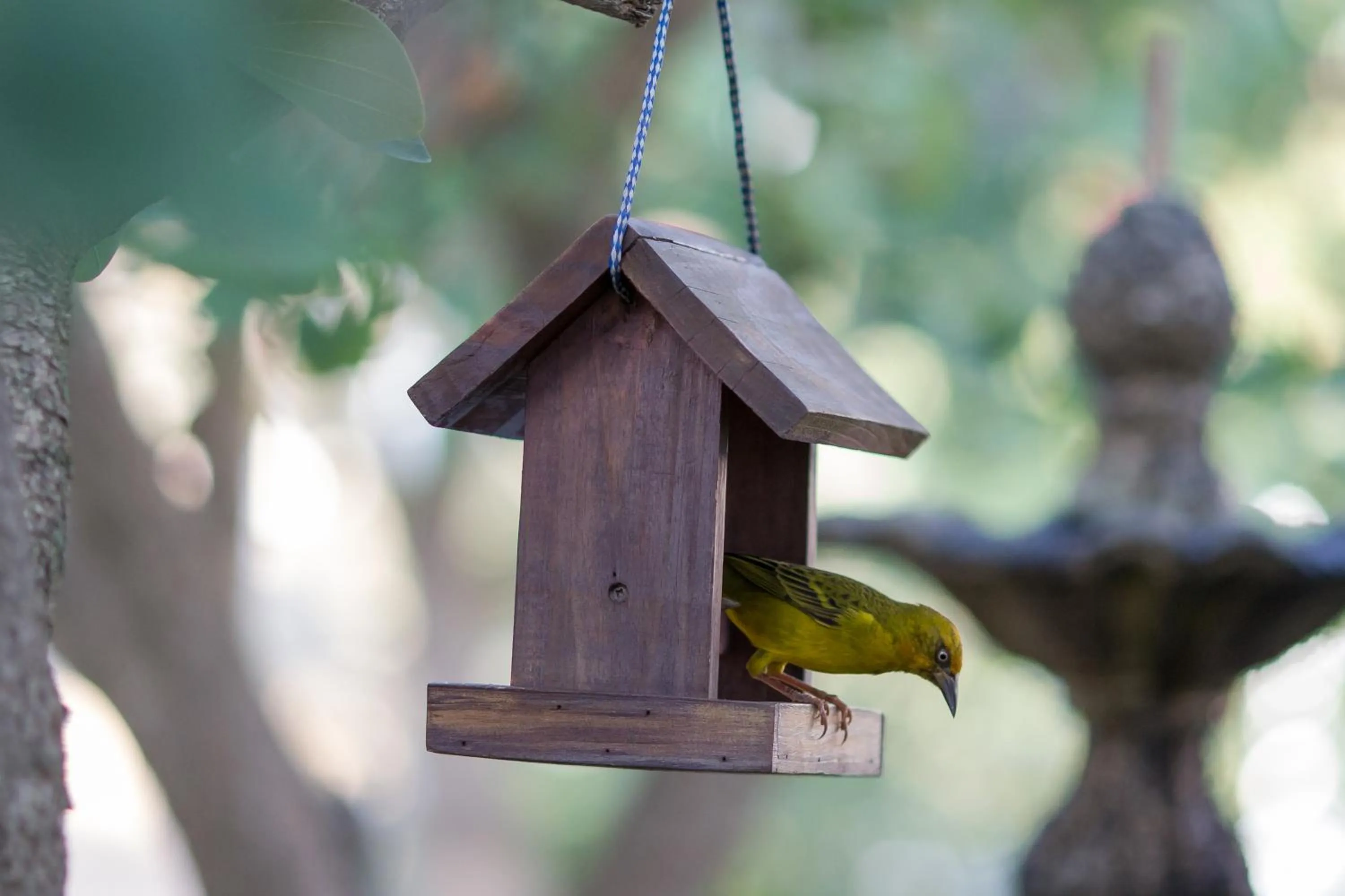 Garden in Malagas Hotel