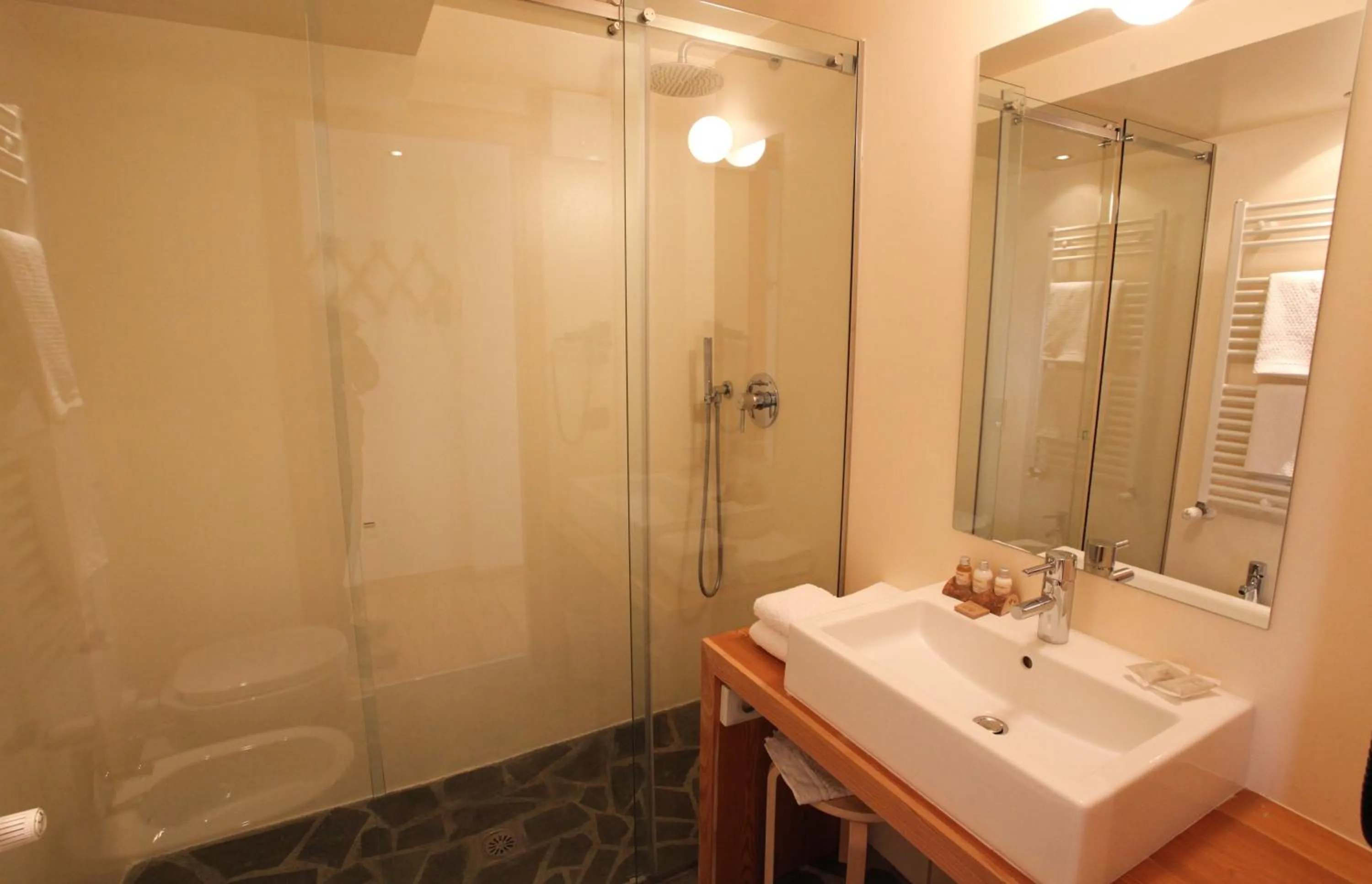 Shower in Hotel Berthod