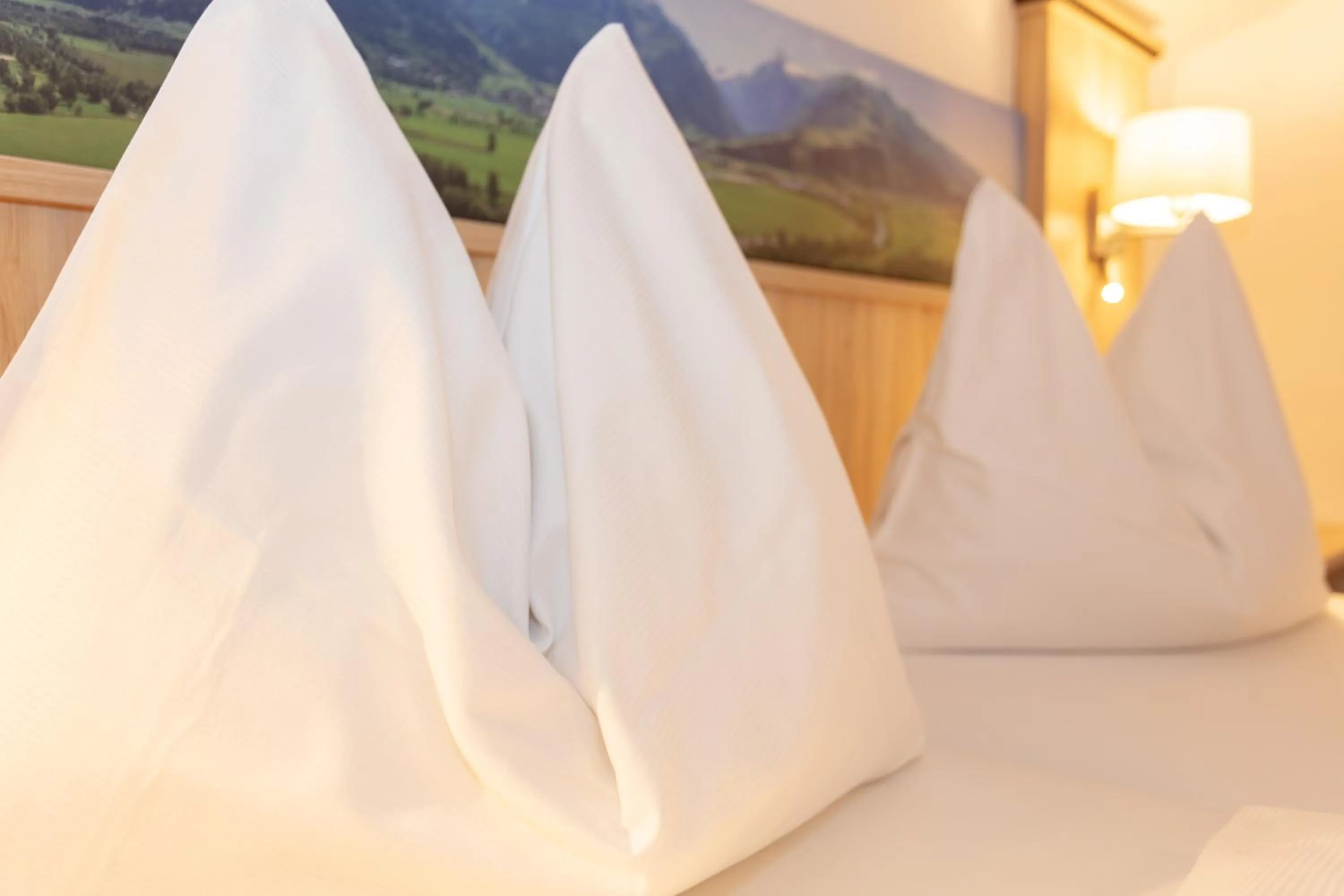 Bed in Schmittental Pension Self-Check-In