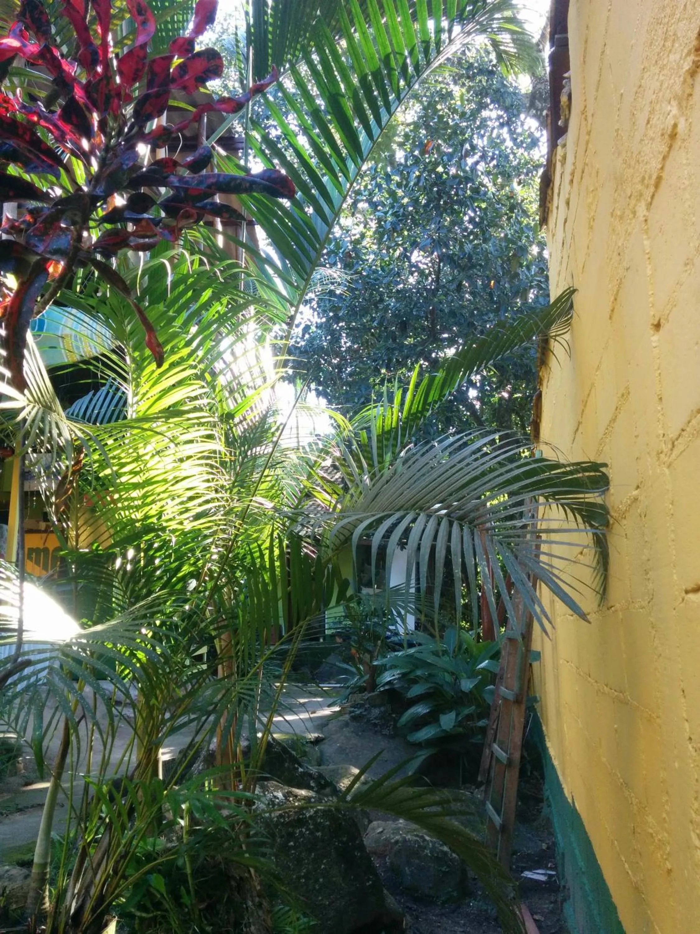 Garden in Bela Casa Quartos e Hostel Ilha Grande