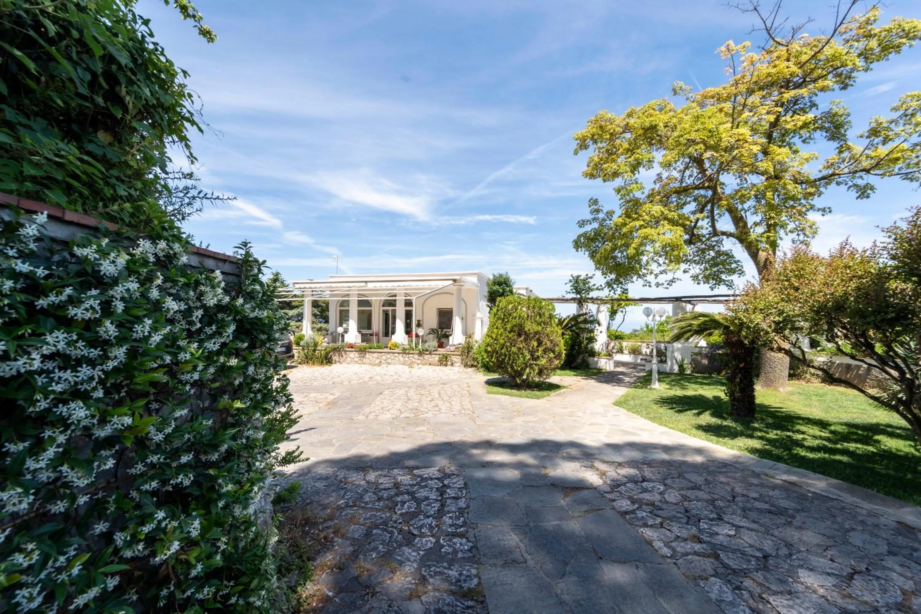 Facade/entrance in Hotel Bellavista