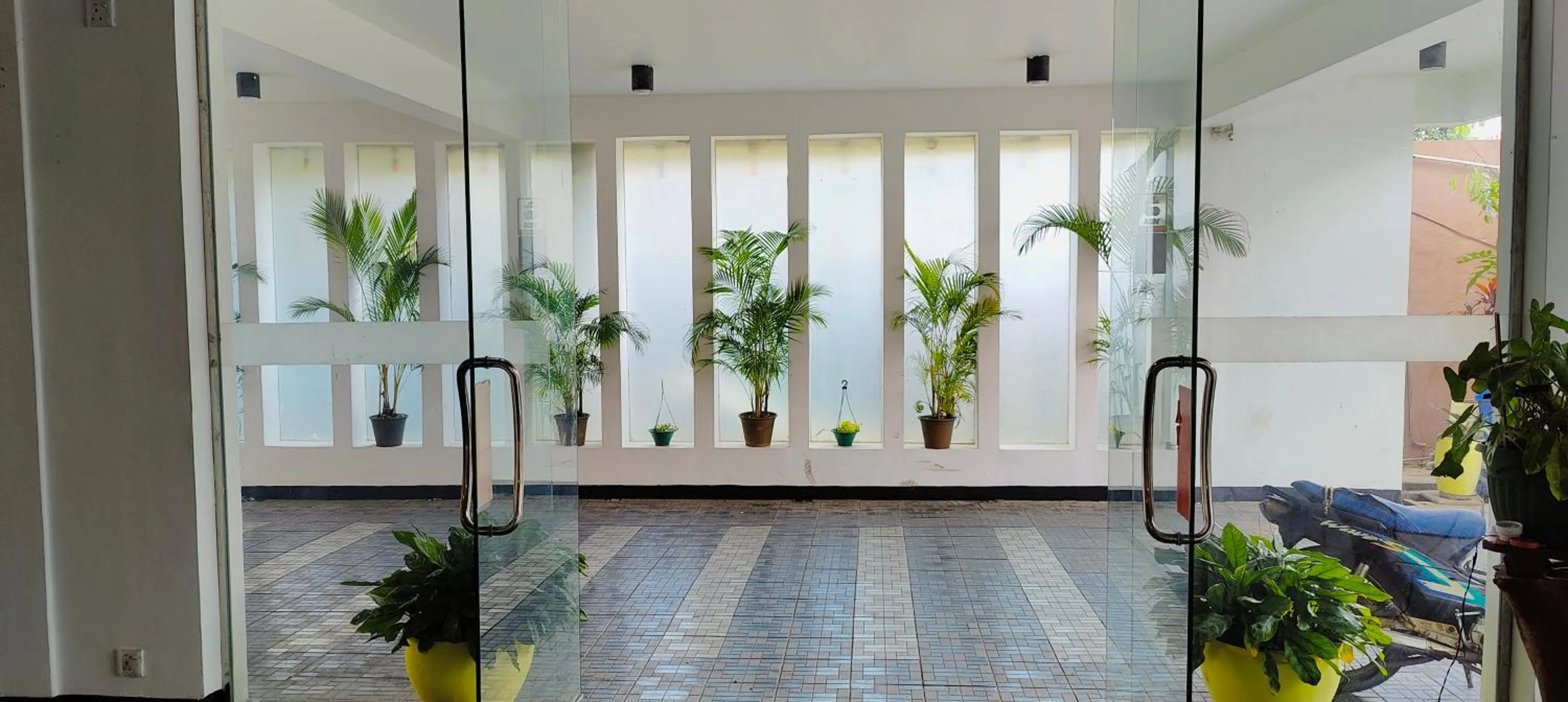 Garden in Subhas Tourist Hotel