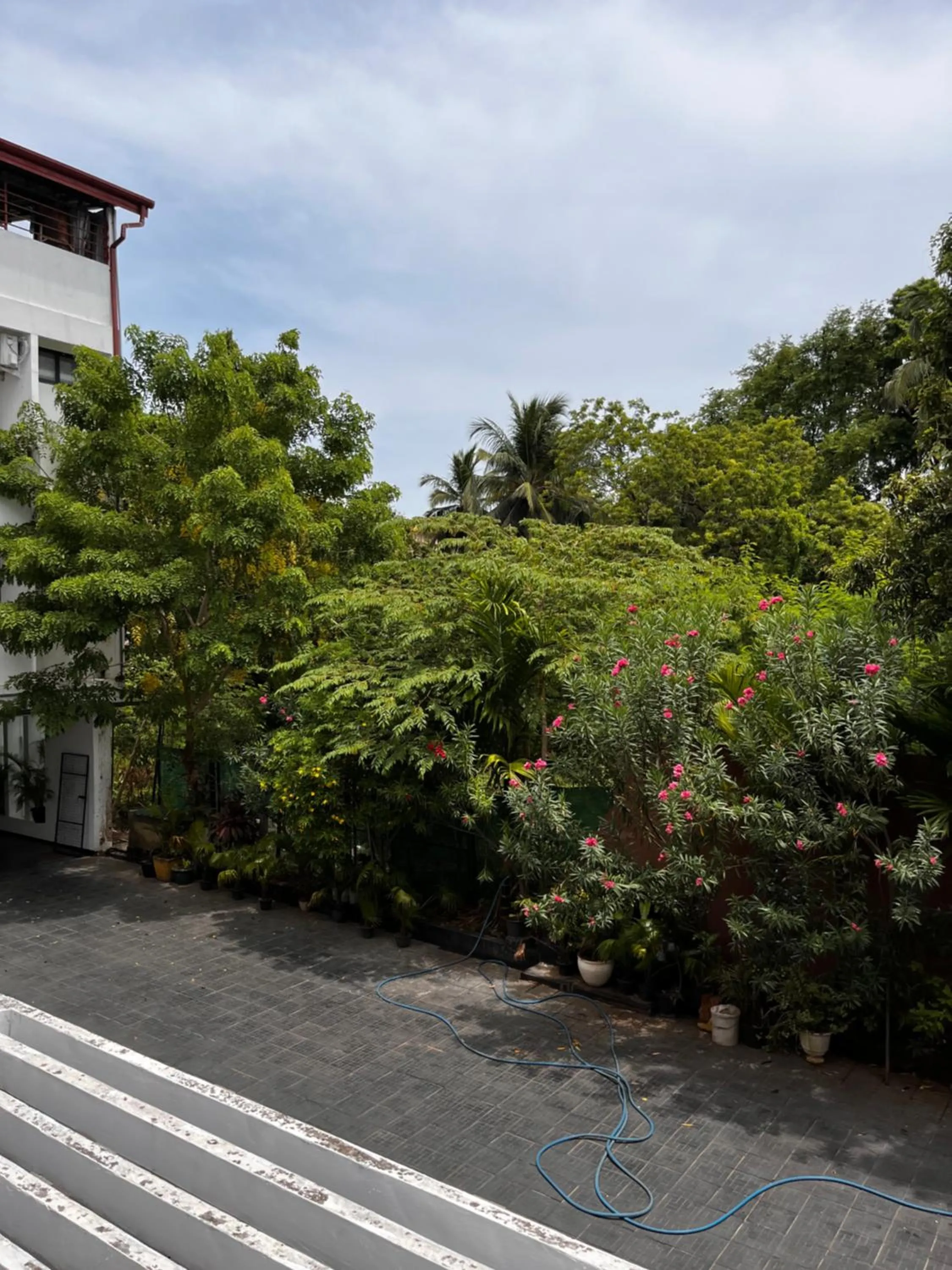 Day in Subhas Tourist Hotel