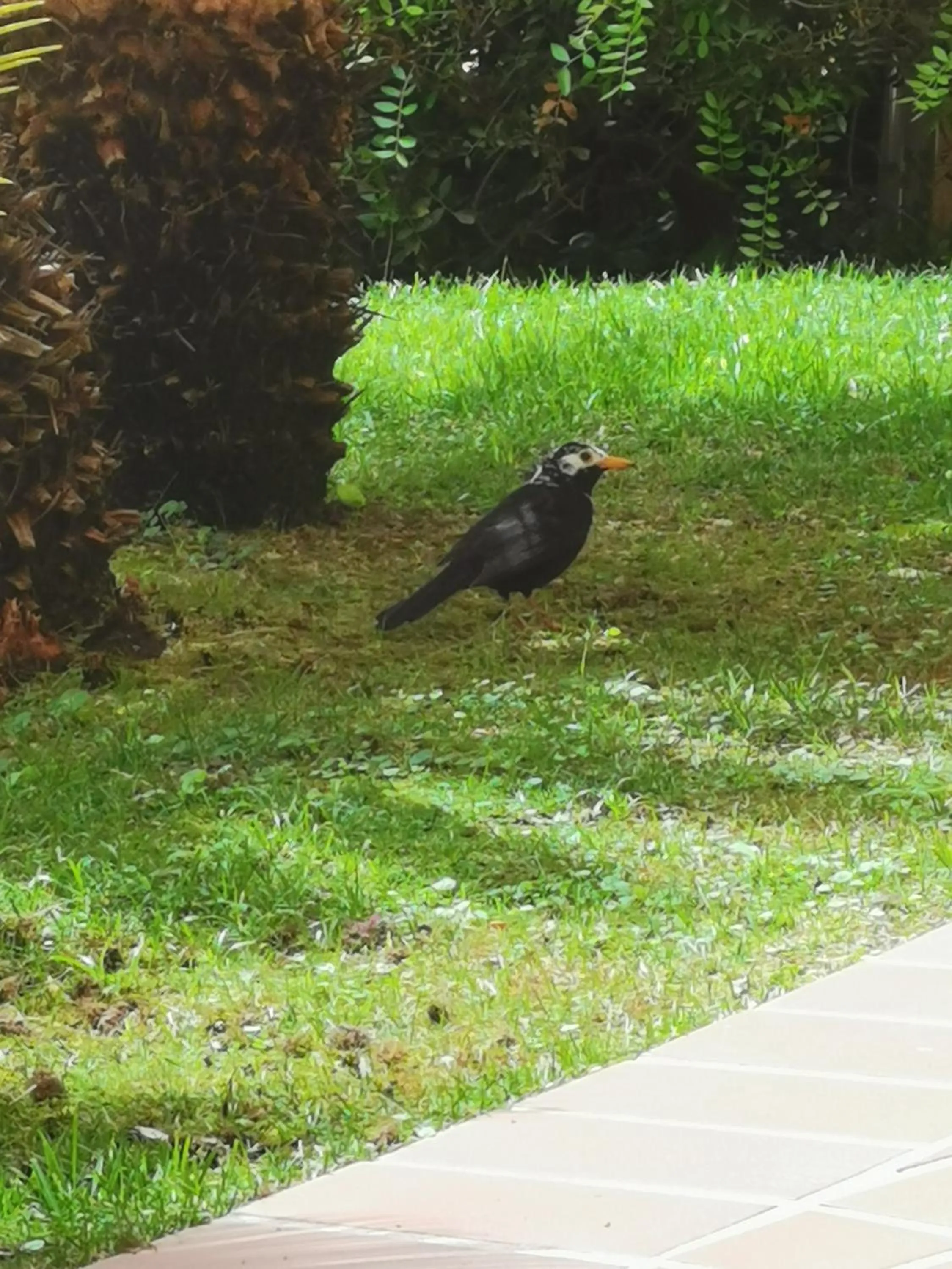 Floor plan in Hotel Arbatasar