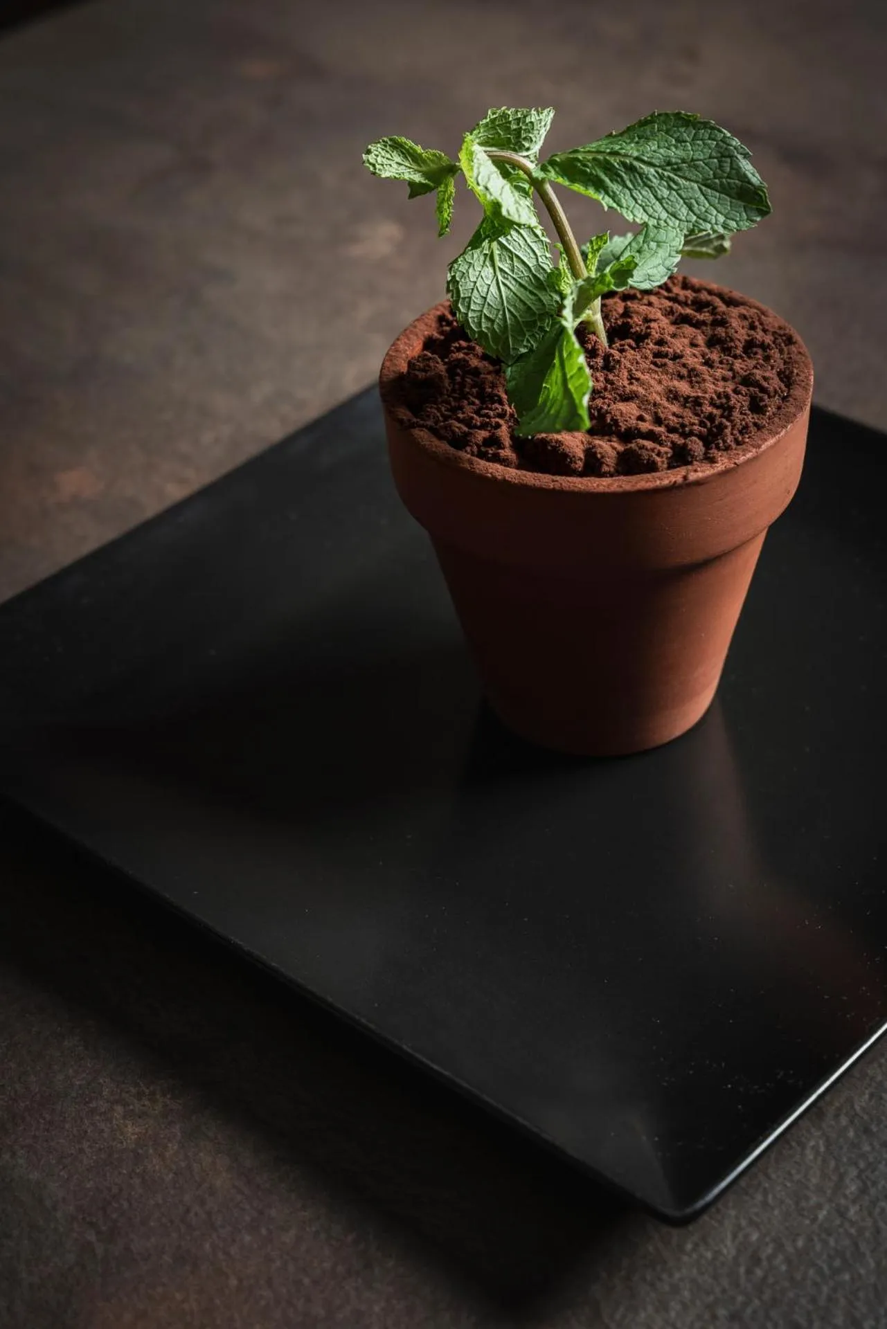 Restaurant/places to eat in Hotel Athena