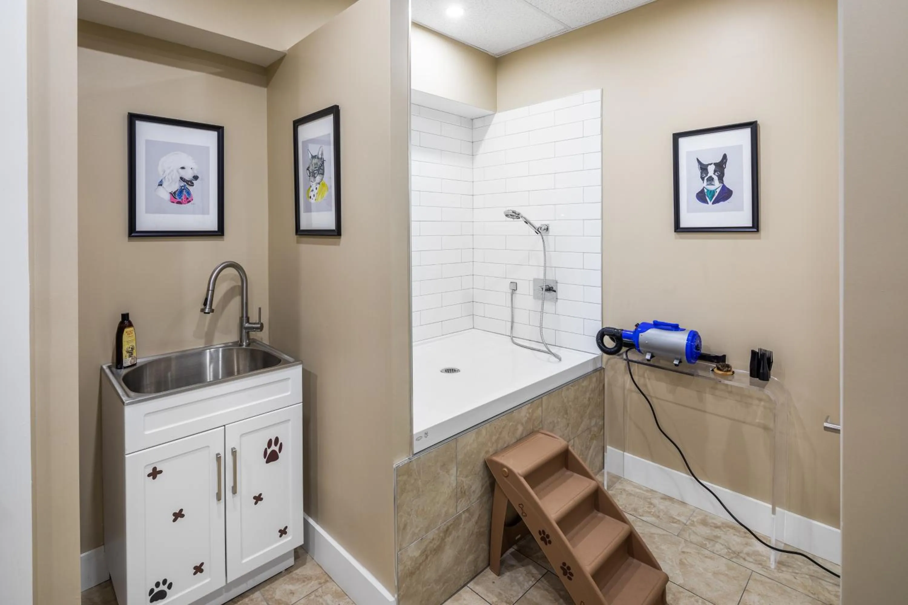 Pets in The Ledger Residences by Sosuite - Old City