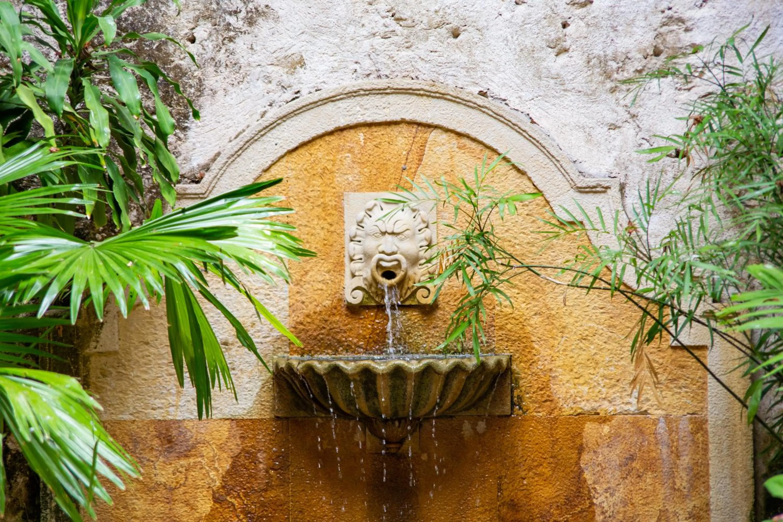 Patio in Casa Baloco