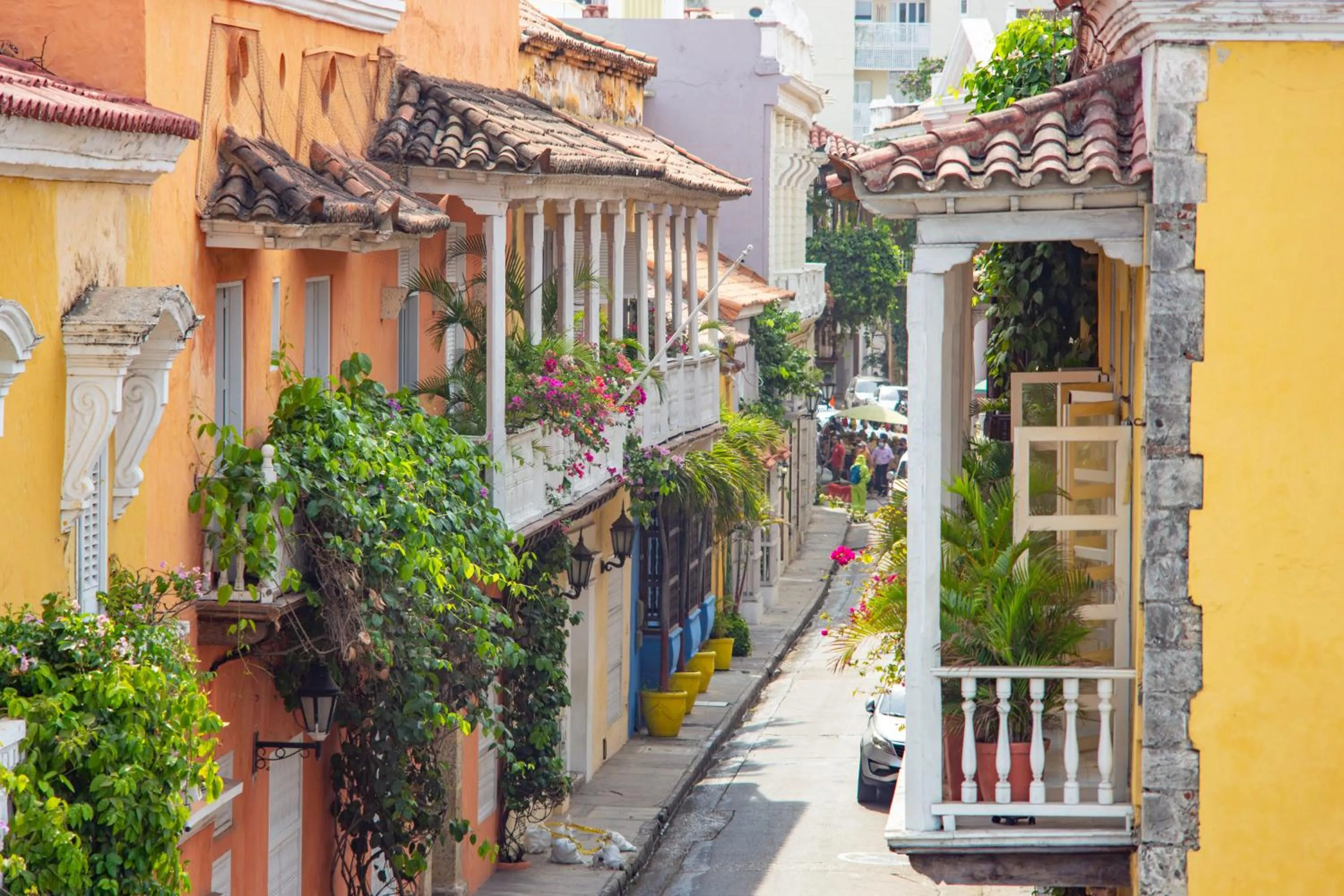 Property building in Casa Baloco