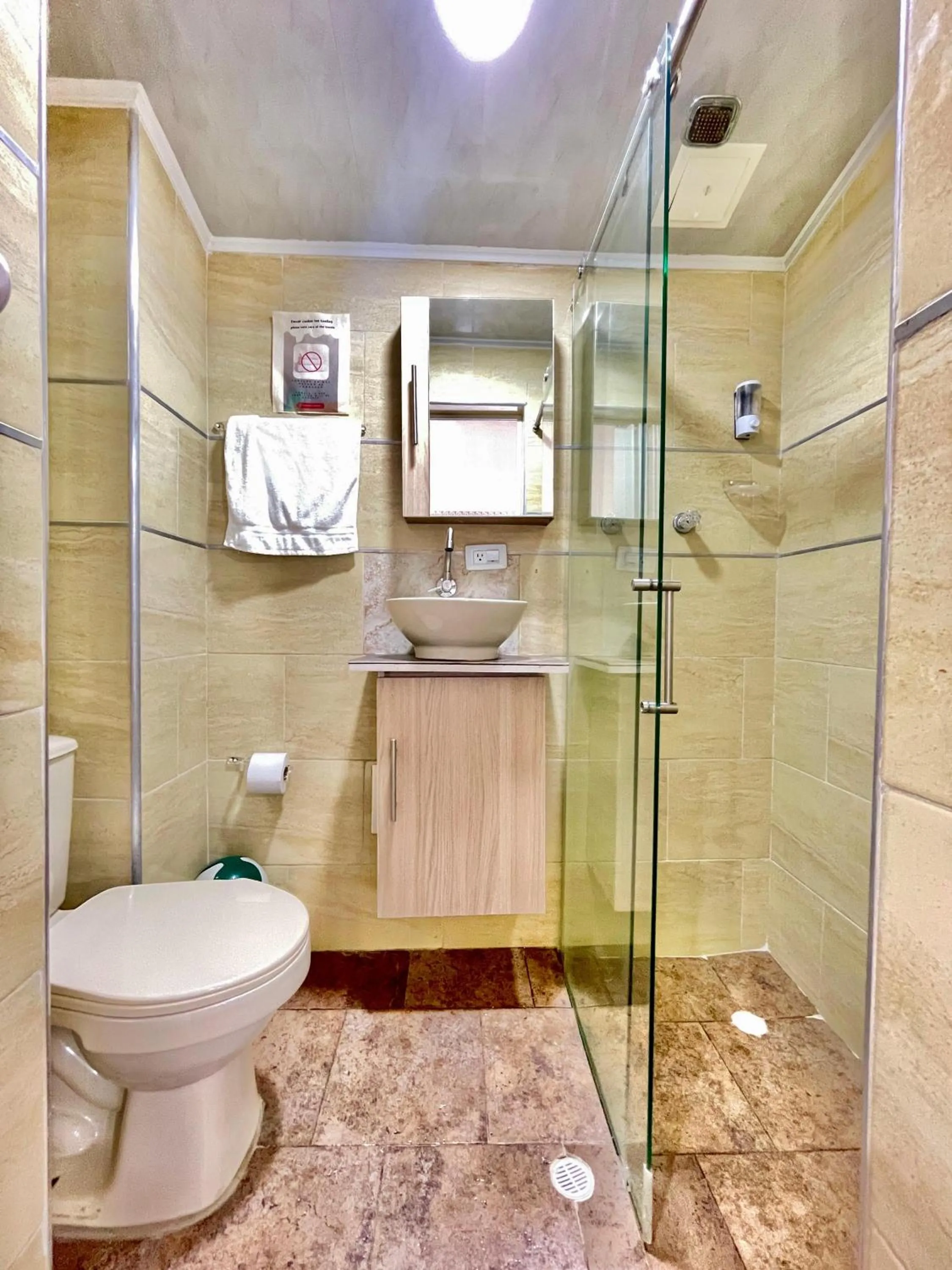 Shower in Hotel Torre Primavera