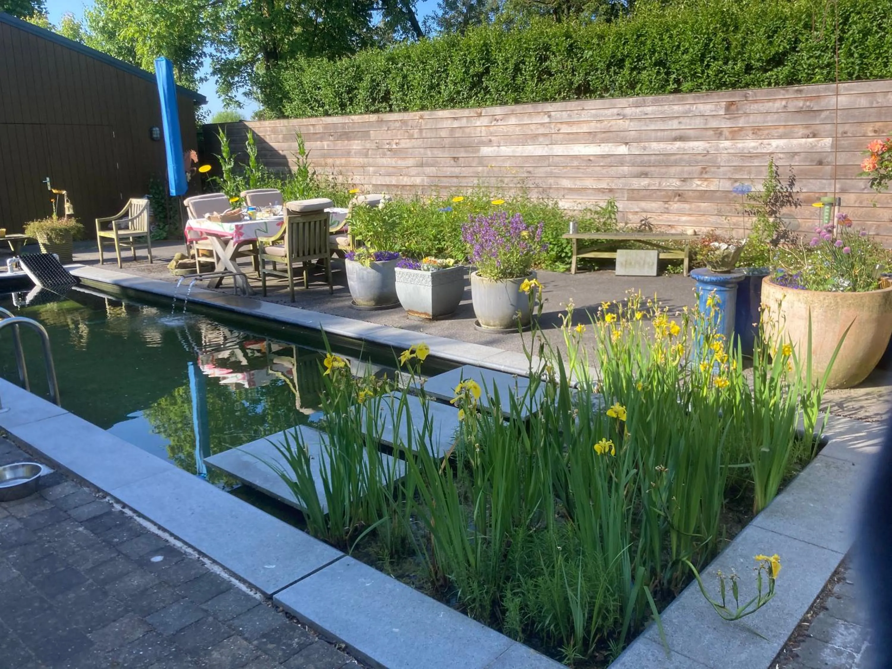 Swimming pool in B&B Koornemoezen