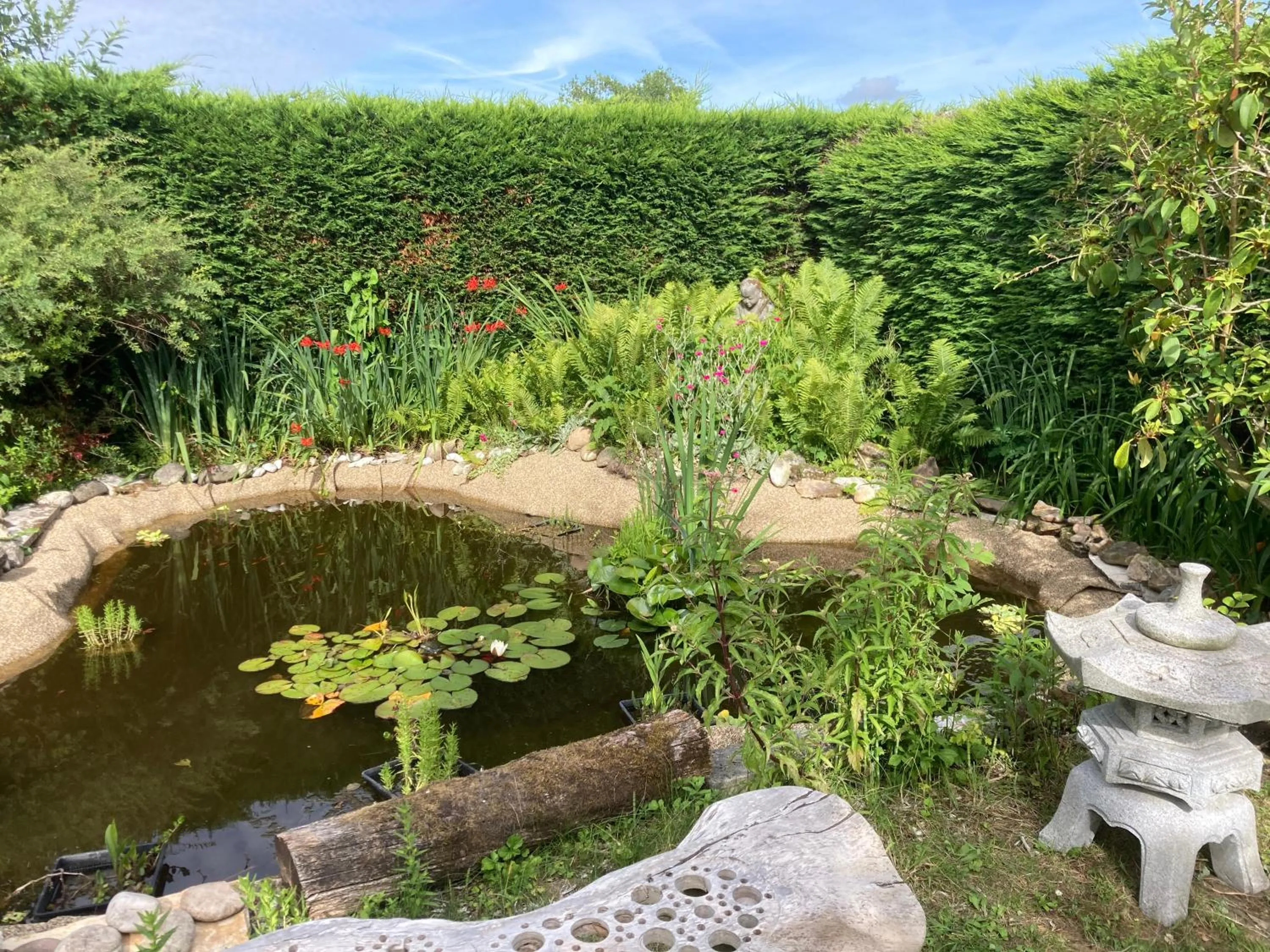 Garden view in B&B Koornemoezen