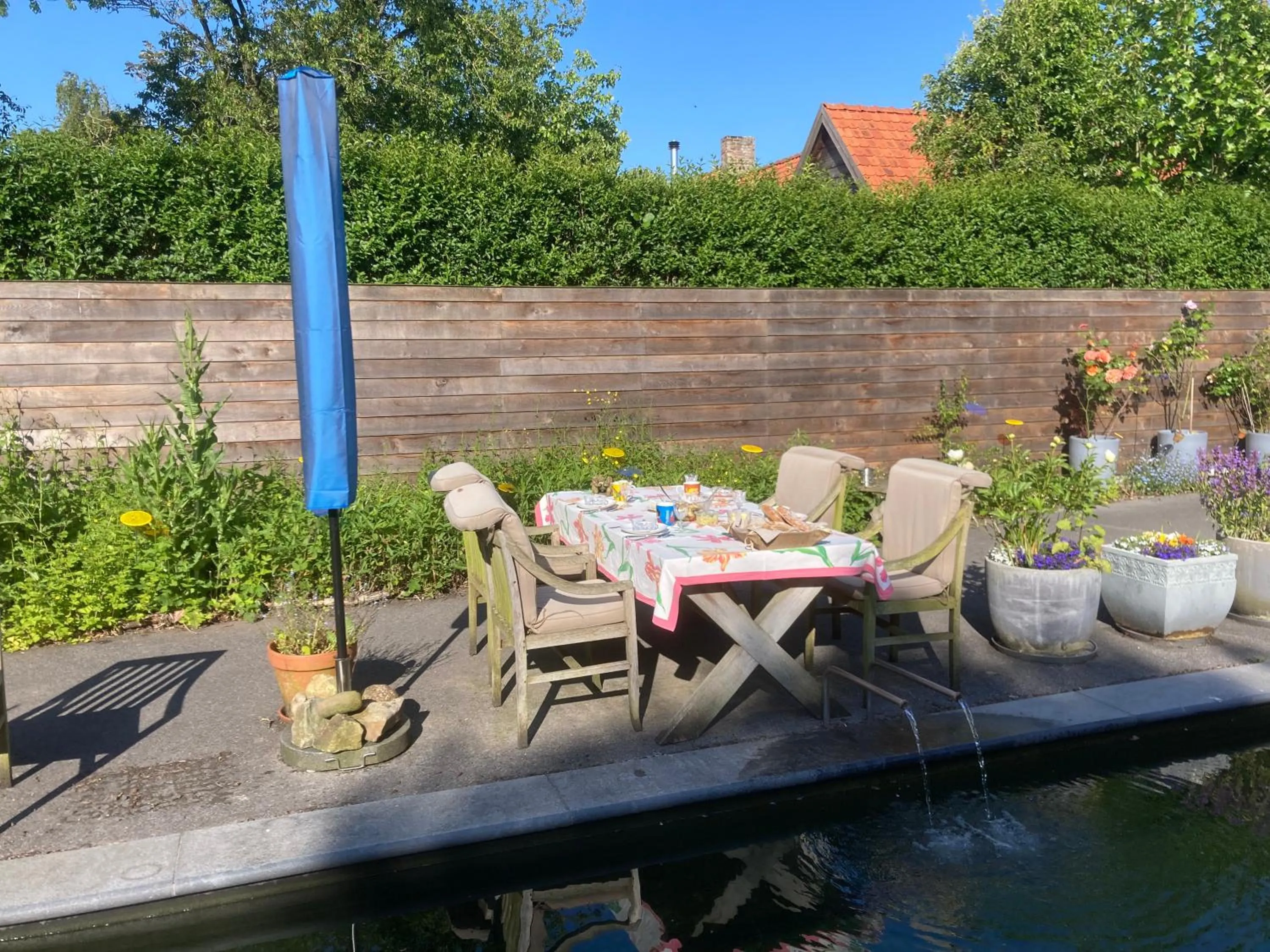 Swimming pool in B&B Koornemoezen