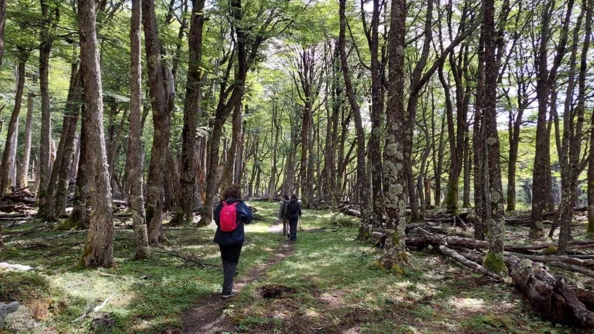 Activities in Refugio de Glaciares