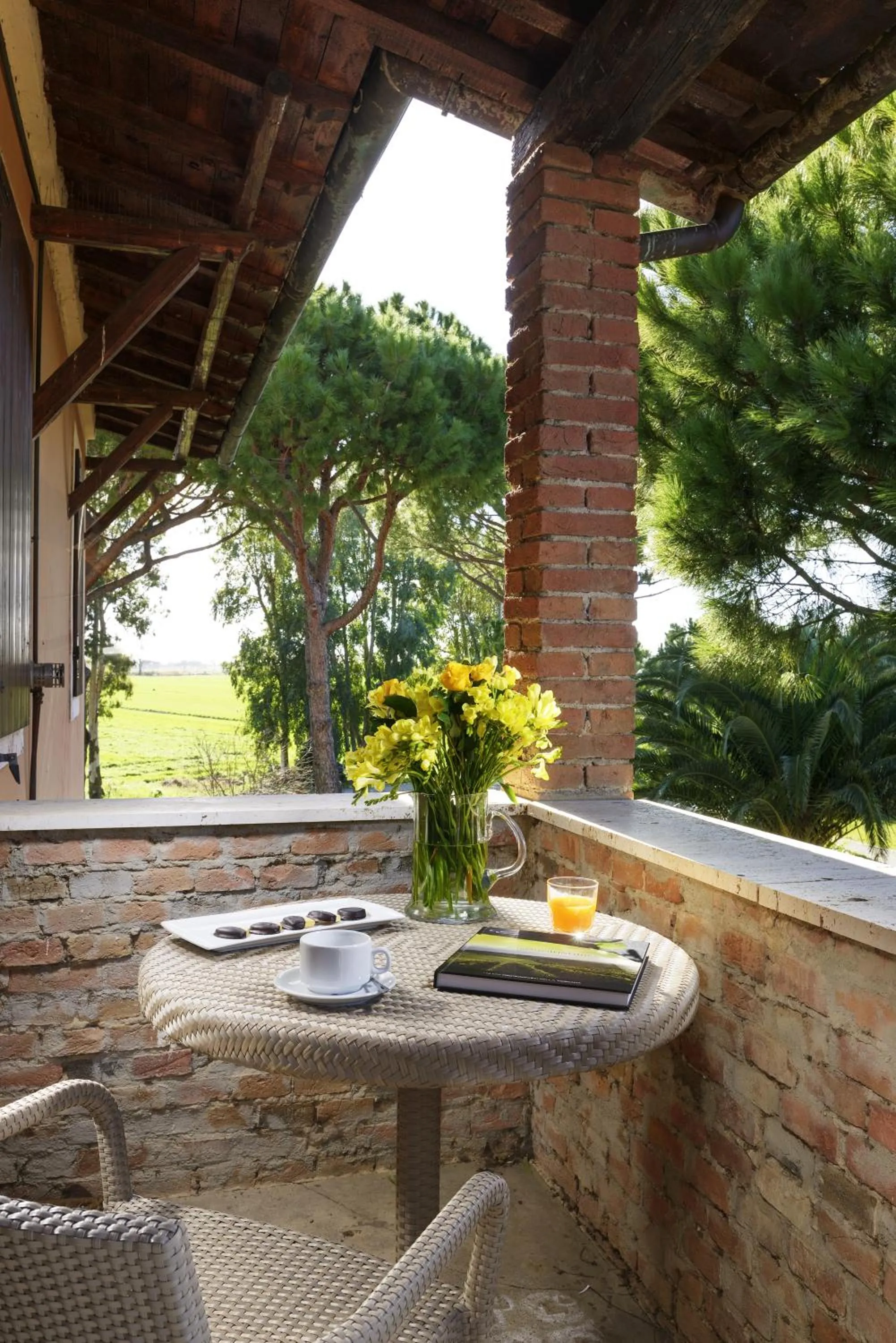 Day in Fattoria San Lorenzo