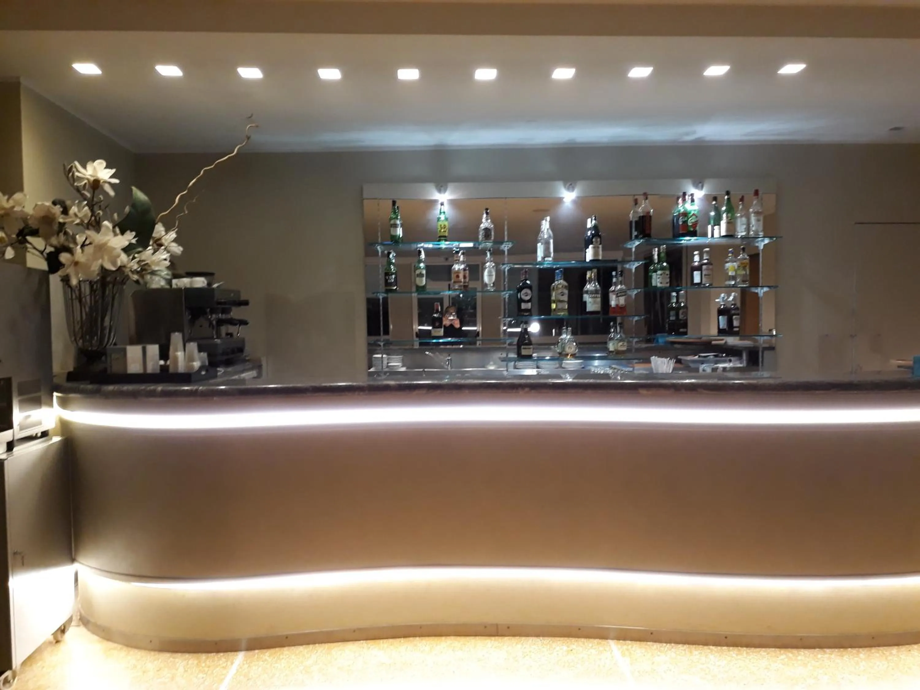 Restaurant/places to eat in Hotel Palace