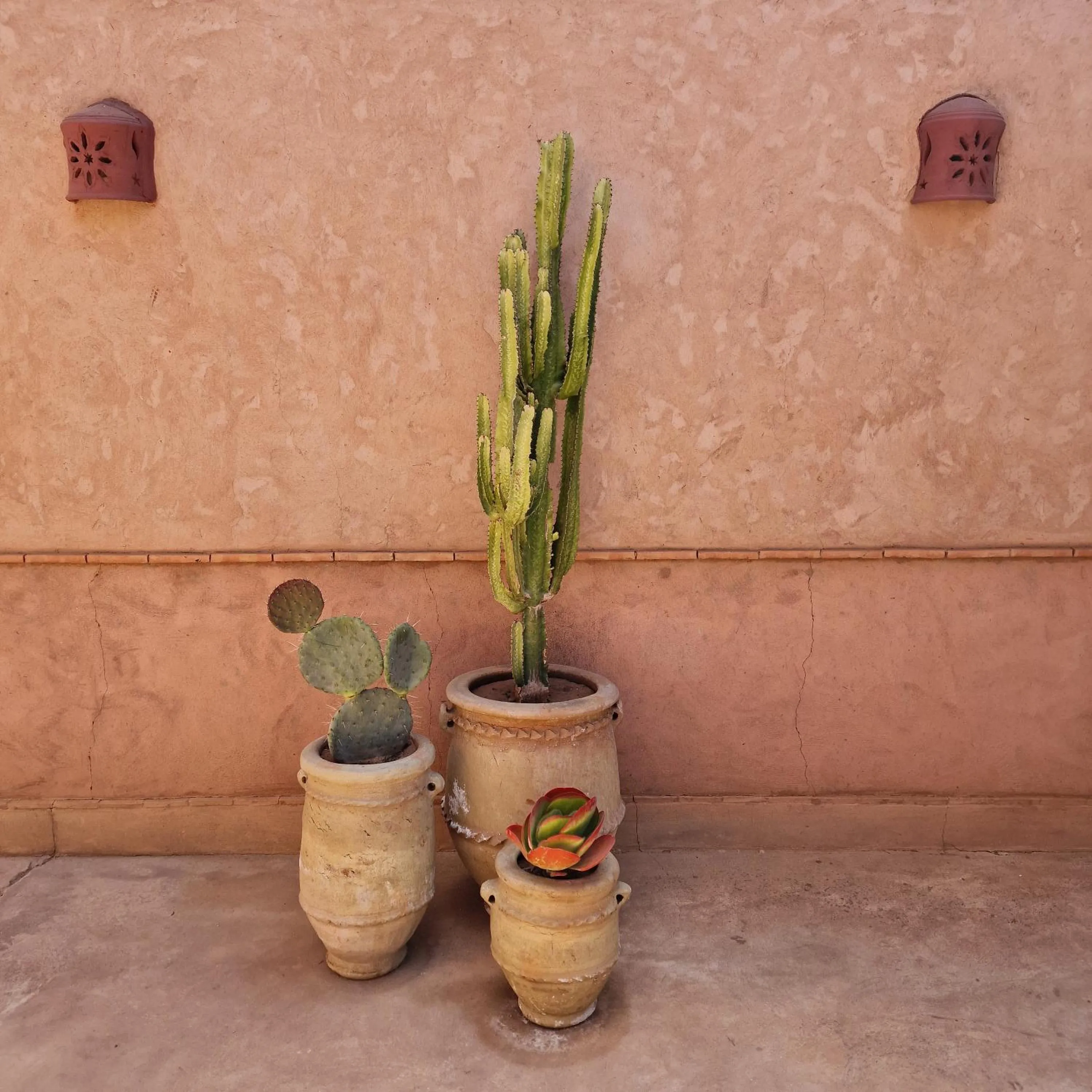 Dar 55 - Berber House