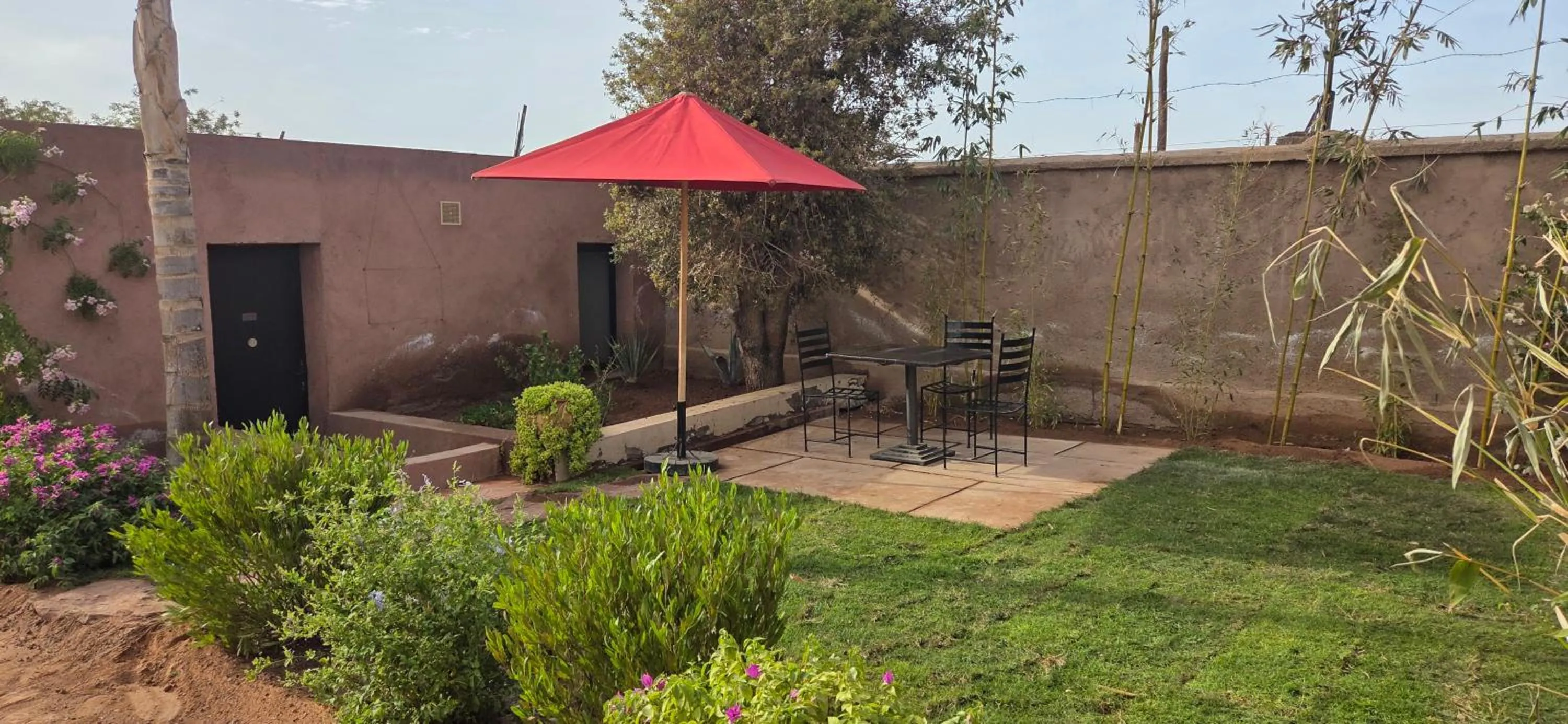 Garden in Hôtel Dar 55 - Berber House - Boutique Hôtel